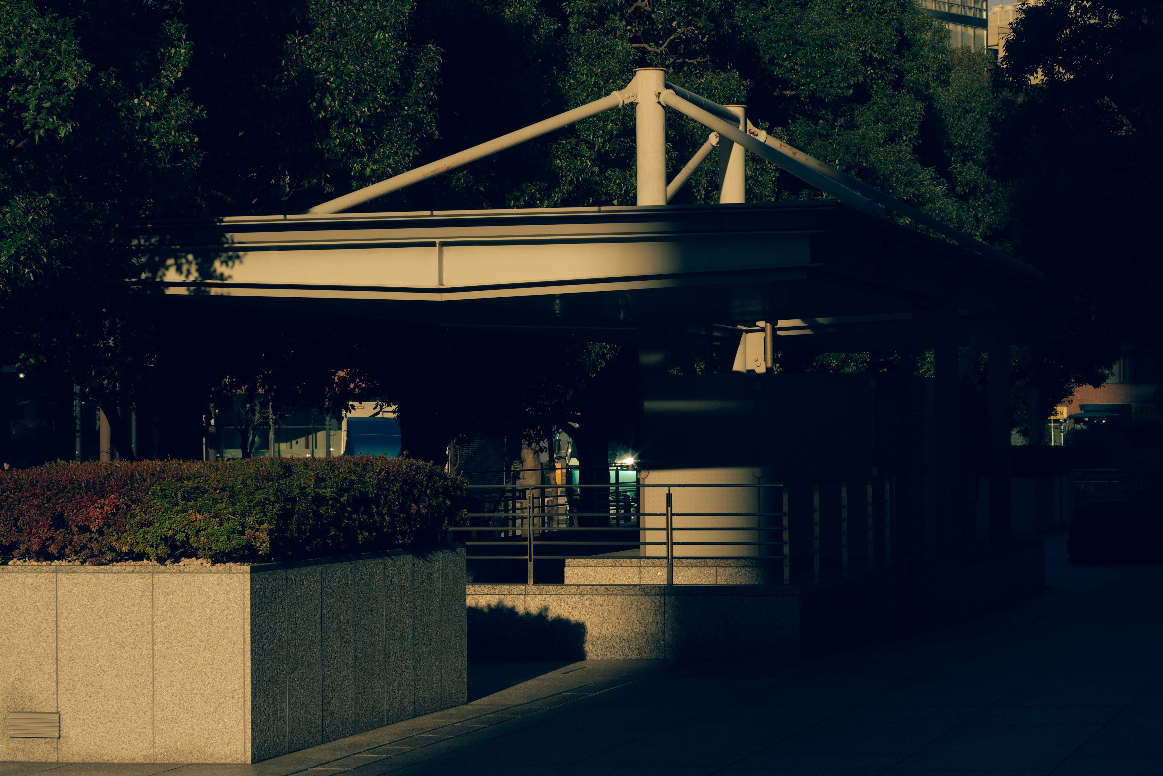 Struttura della stazione moderna in un ambiente poco illuminato con vegetazione