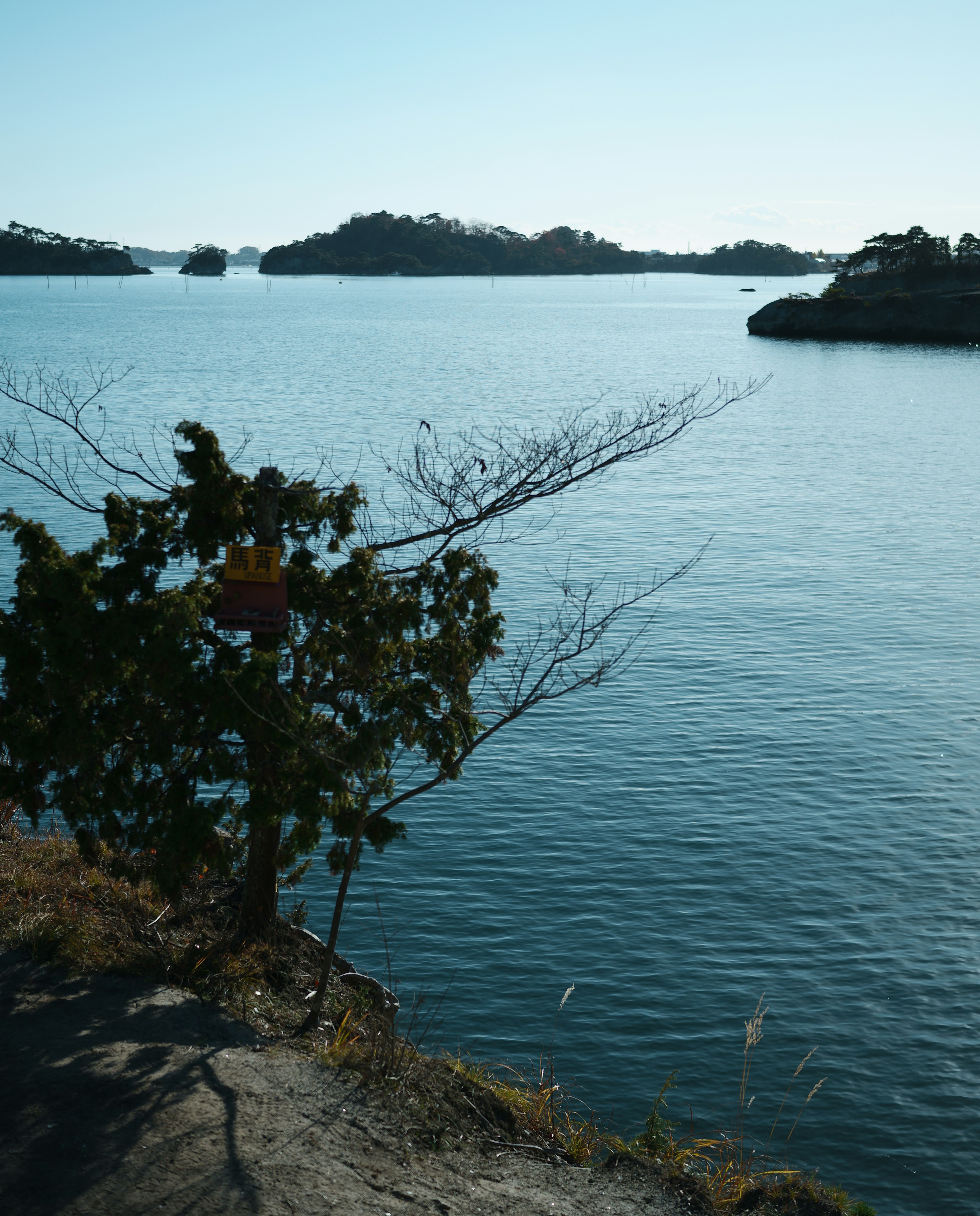 穏やかな水面に映る島々と木のある風景