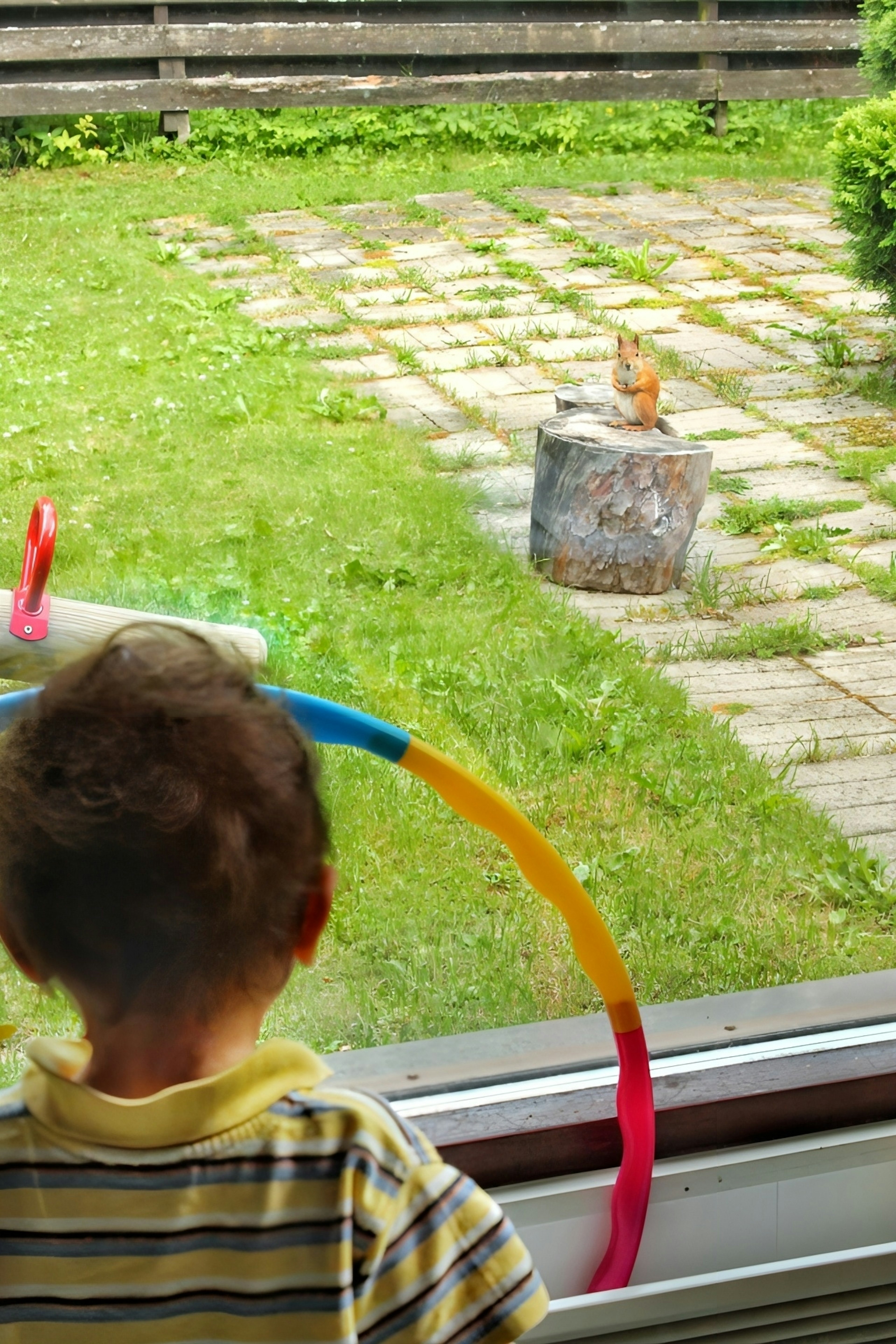 Enfant regardant par la fenêtre un petit animal dans le jardin