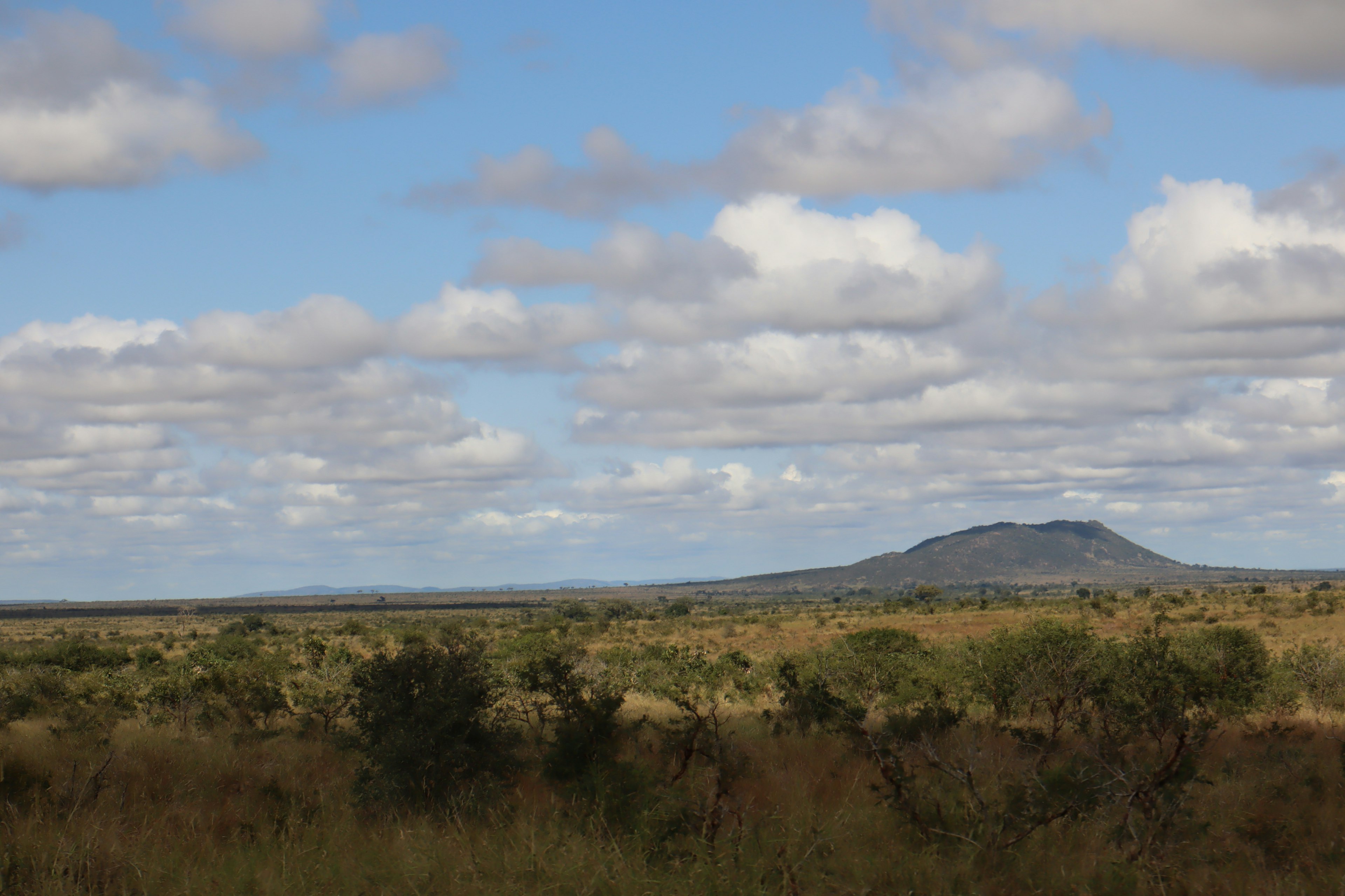 Weite Graslandschaft unter einem blauen Himmel mit einem Berg