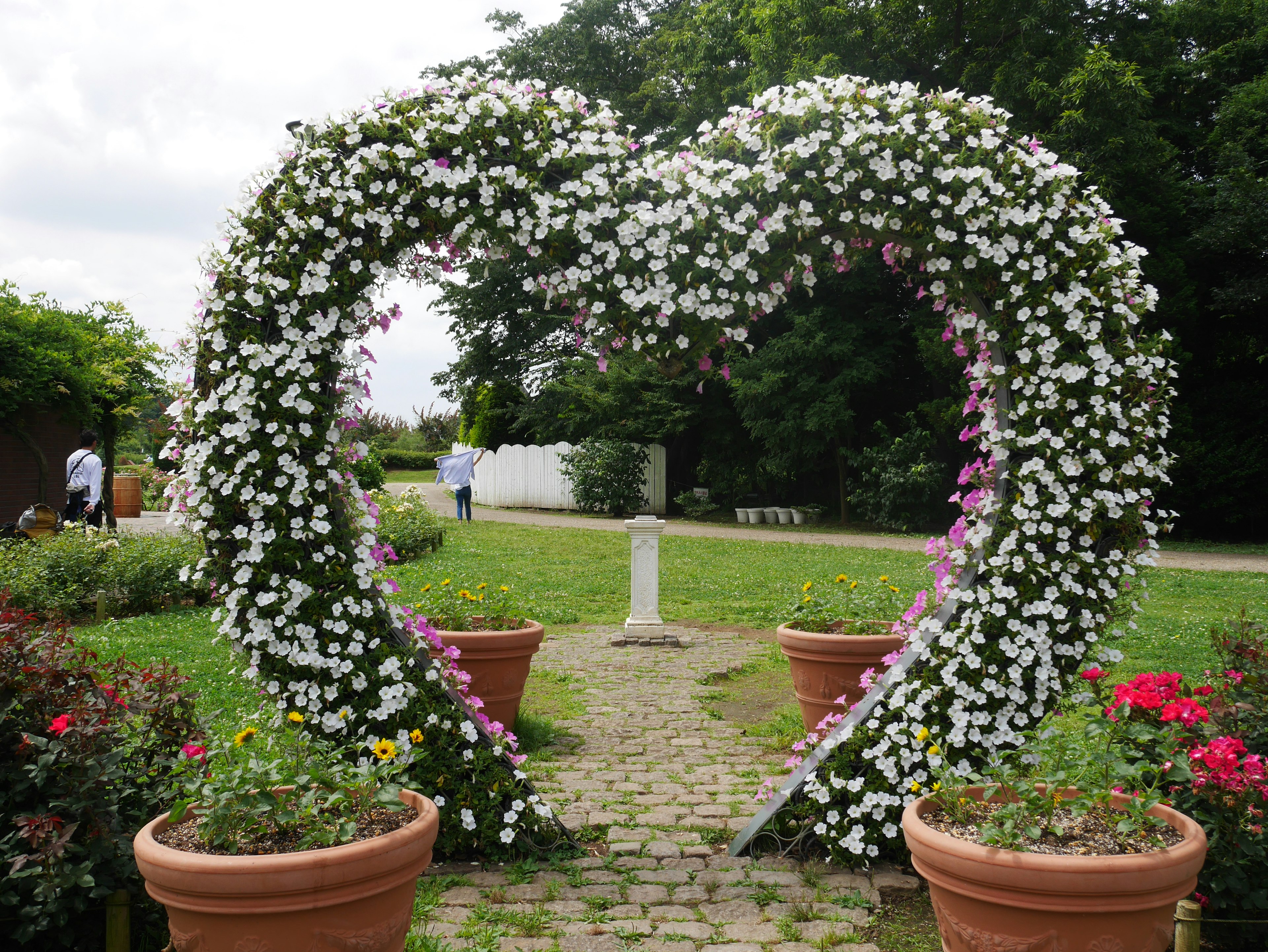 Arche de fleurs en forme de cœur dans un jardin