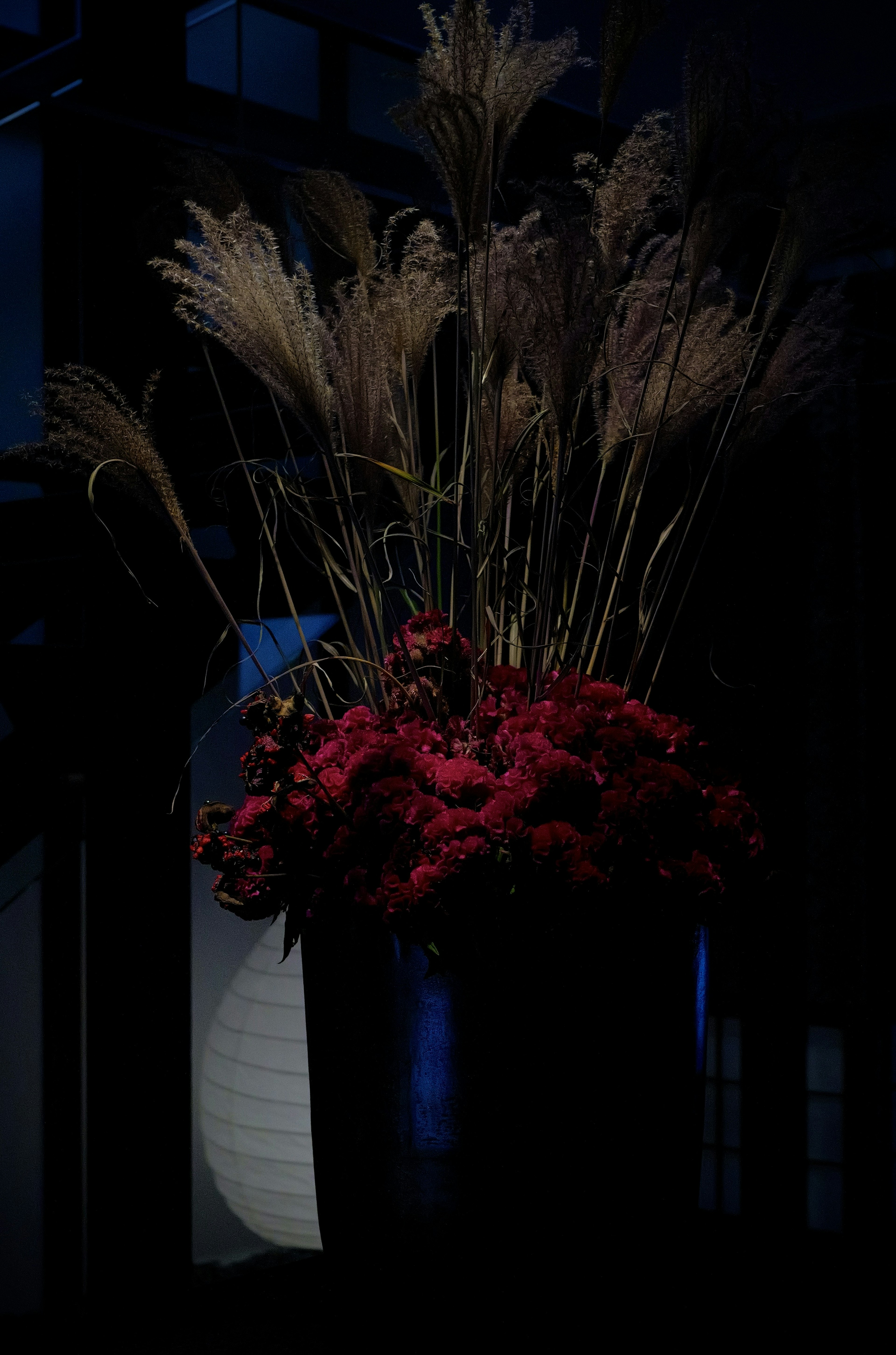 Un fond sombre avec un arrangement de fleurs rouges et d'herbe séchée