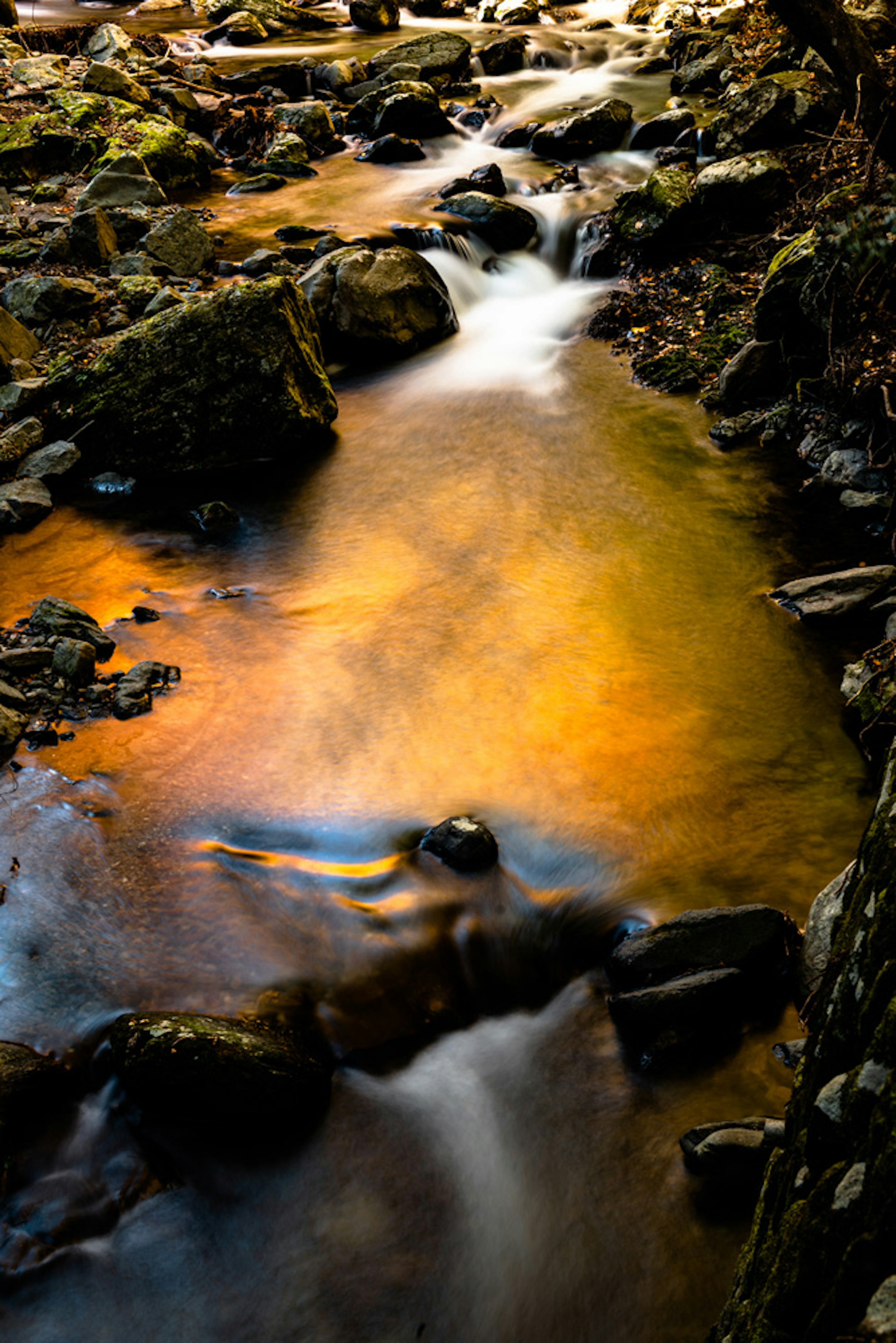 Una vista escénica de un arroyo fluido con reflejos naranjas en las rocas