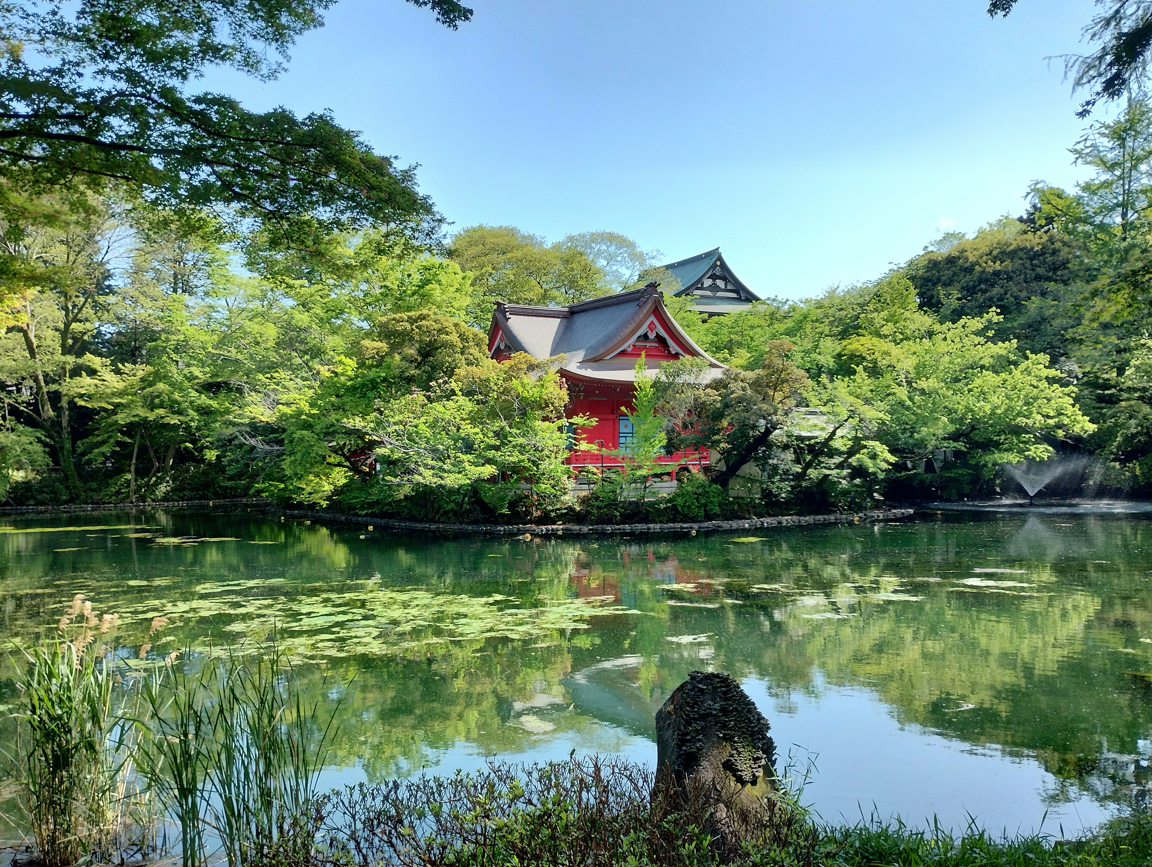 Vue pittoresque d'un bâtiment rouge entouré de verdure luxuriante au bord d'un étang tranquille