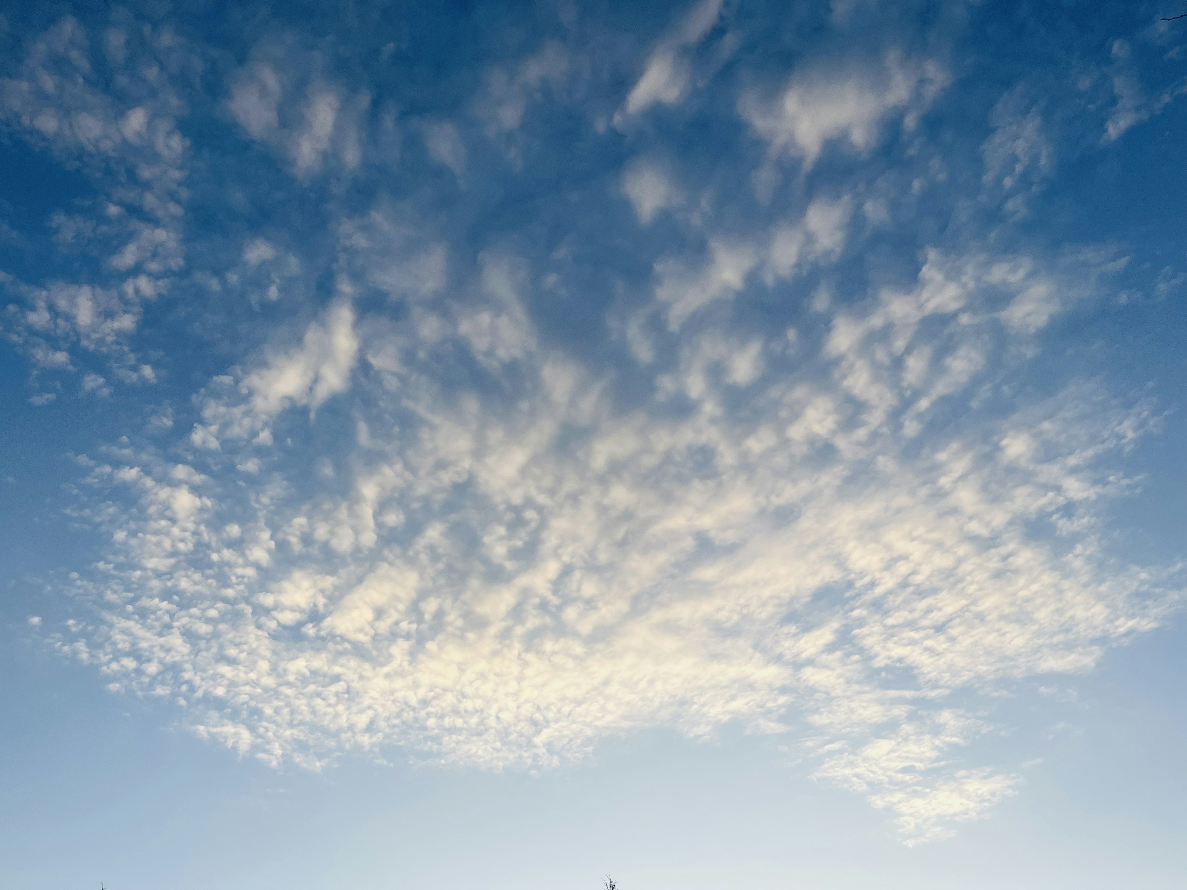 青空に広がる雲のパターン