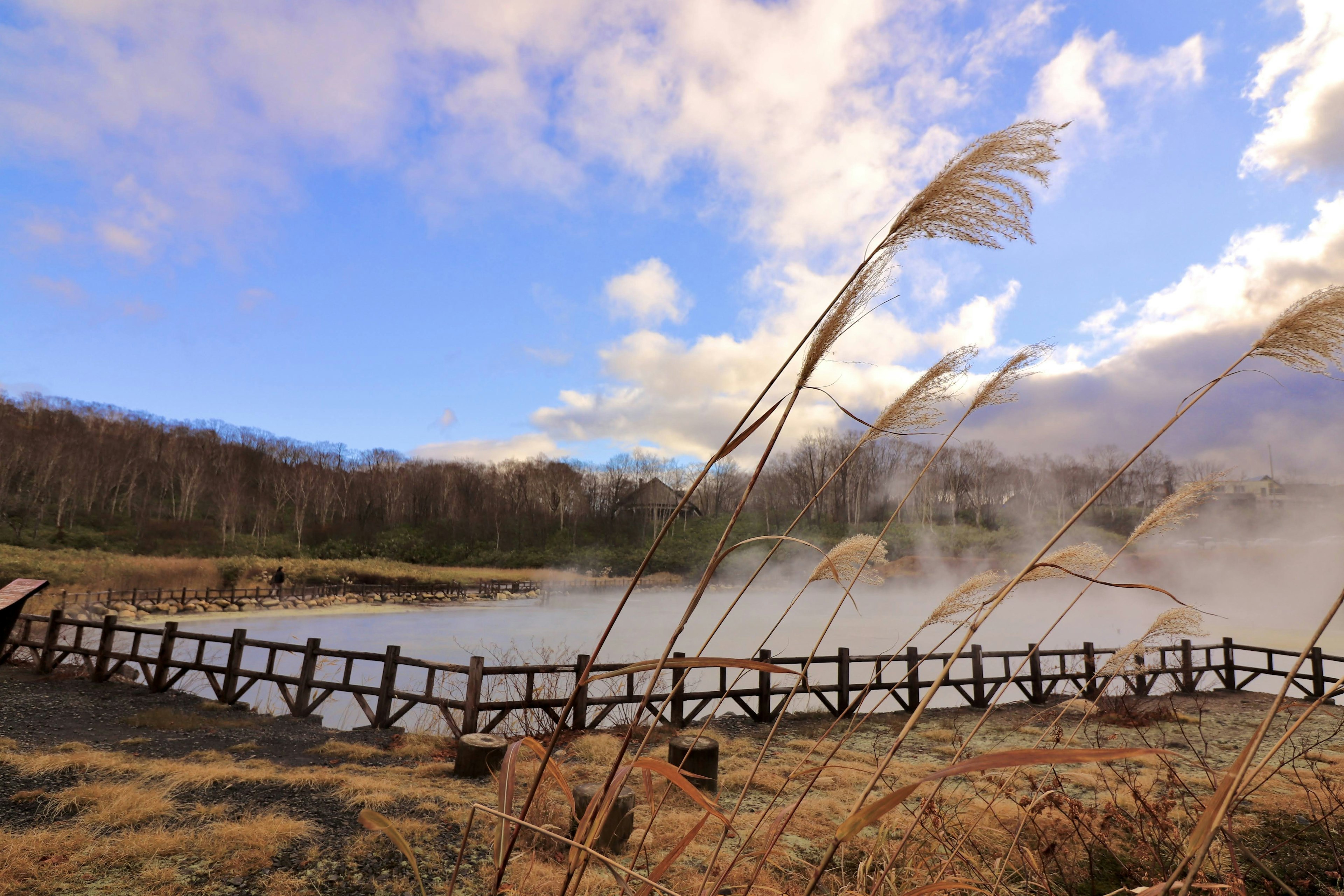 Scenic view of steaming hot springs with wooden bridge and grasses