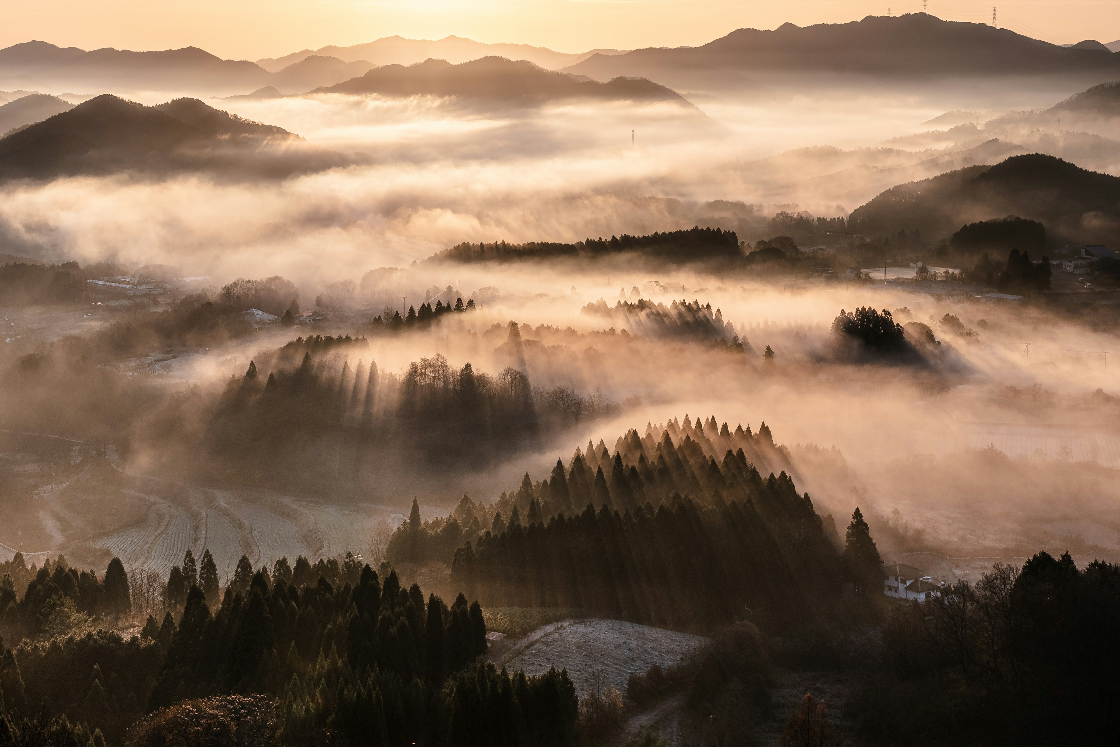 Wunderschöne Landschaft von Bergen und Wäldern, die im Nebel gehüllt sind