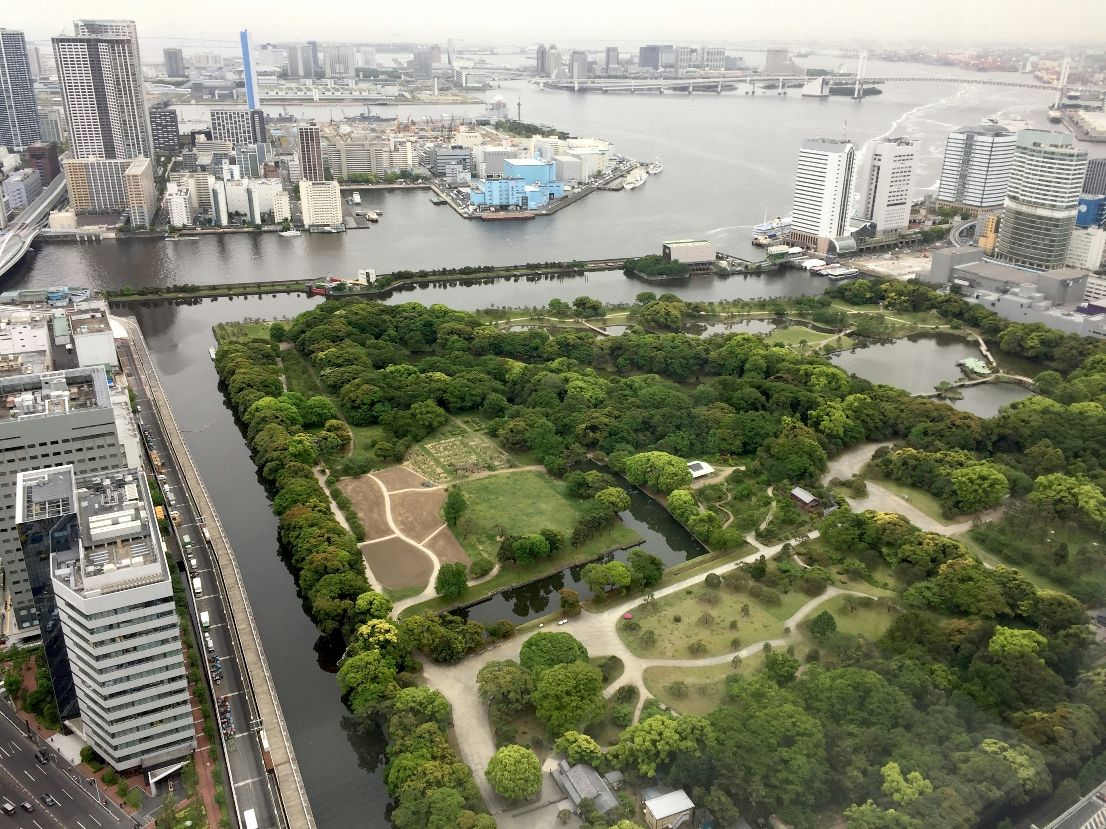 東京の高層ビルから見た公園と川の景色