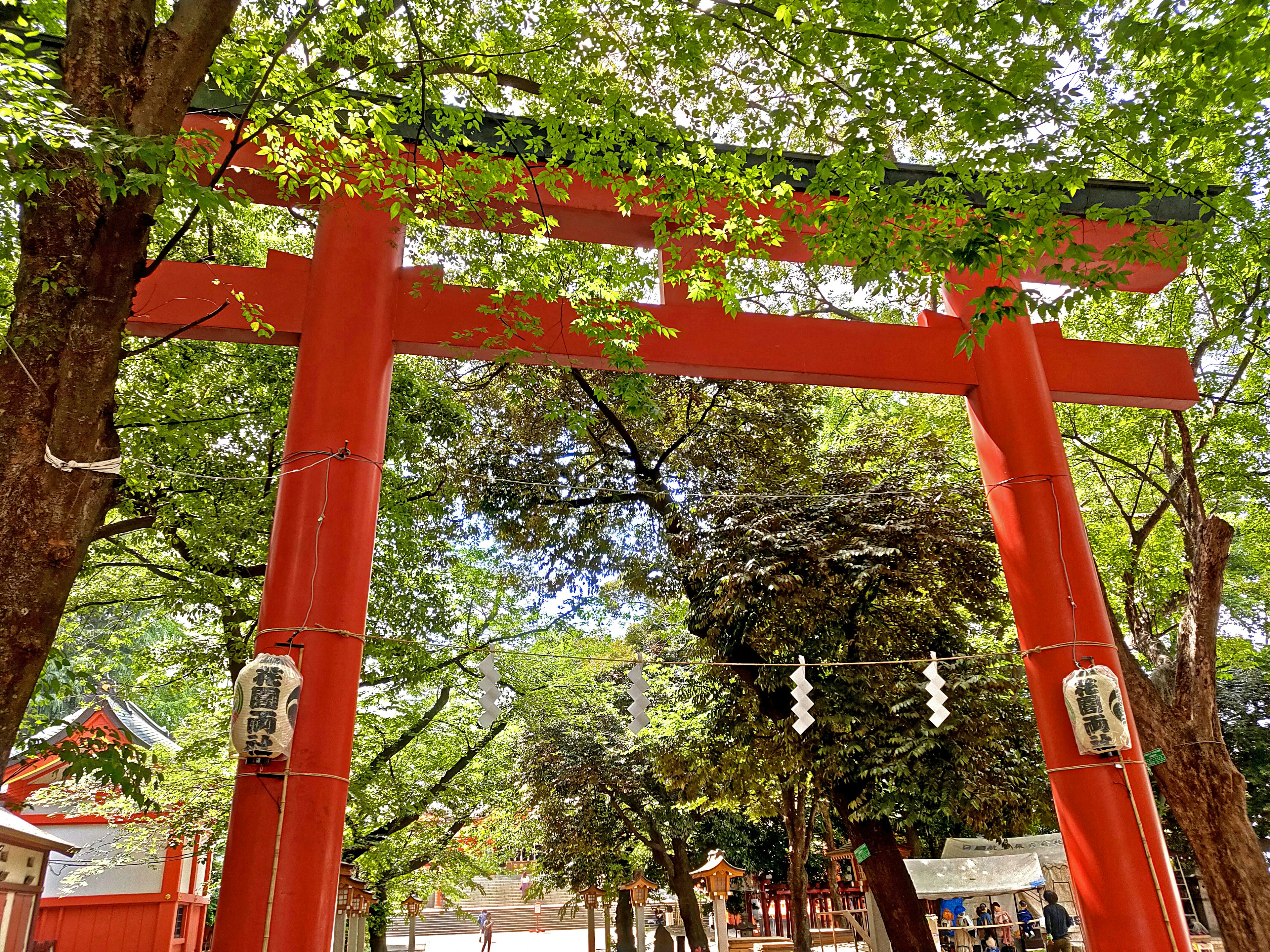 Roter Torii-Tor umgeben von üppigen grünen Bäumen