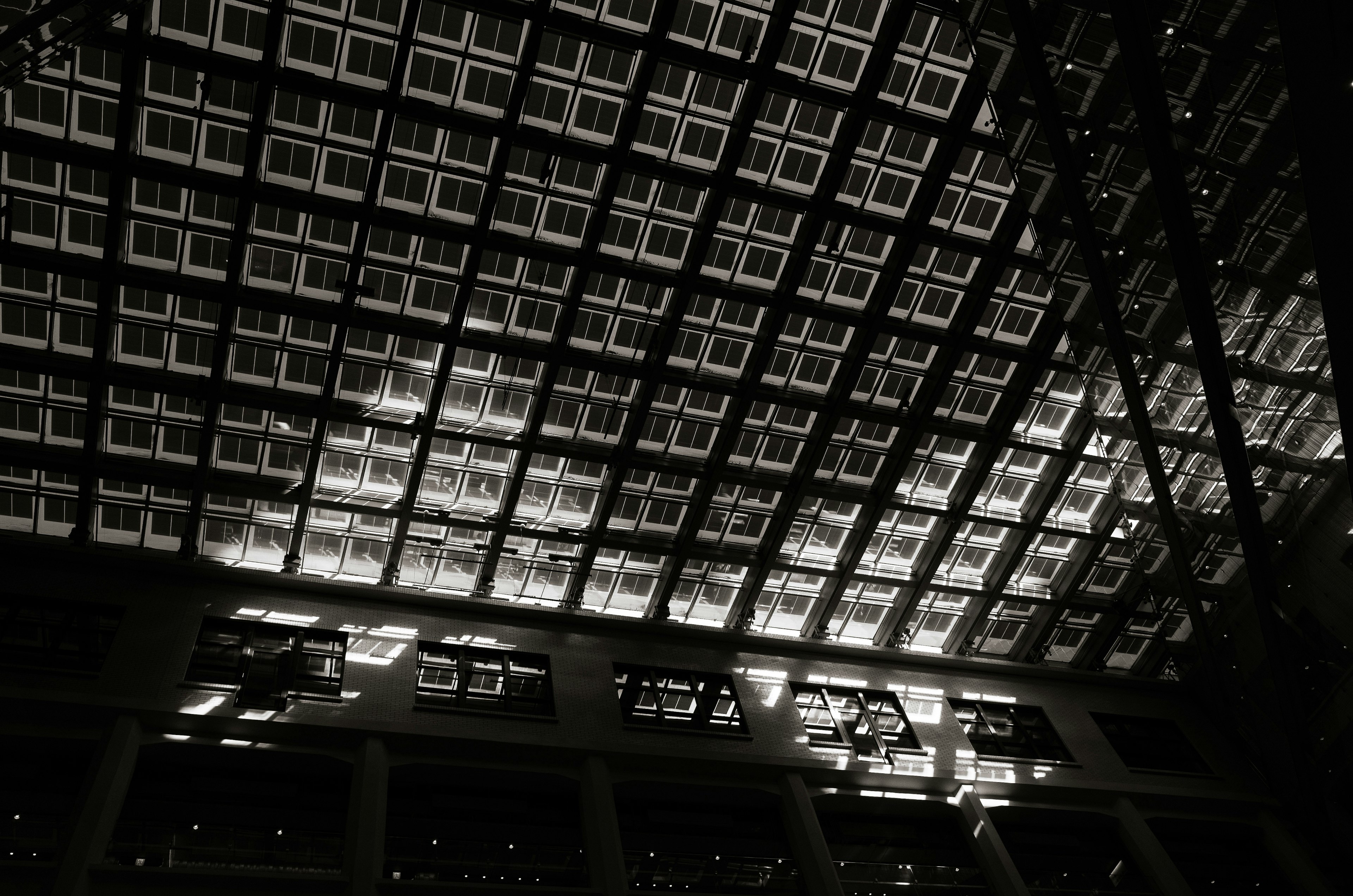 Modern architectural ceiling structure with striking black and white contrast