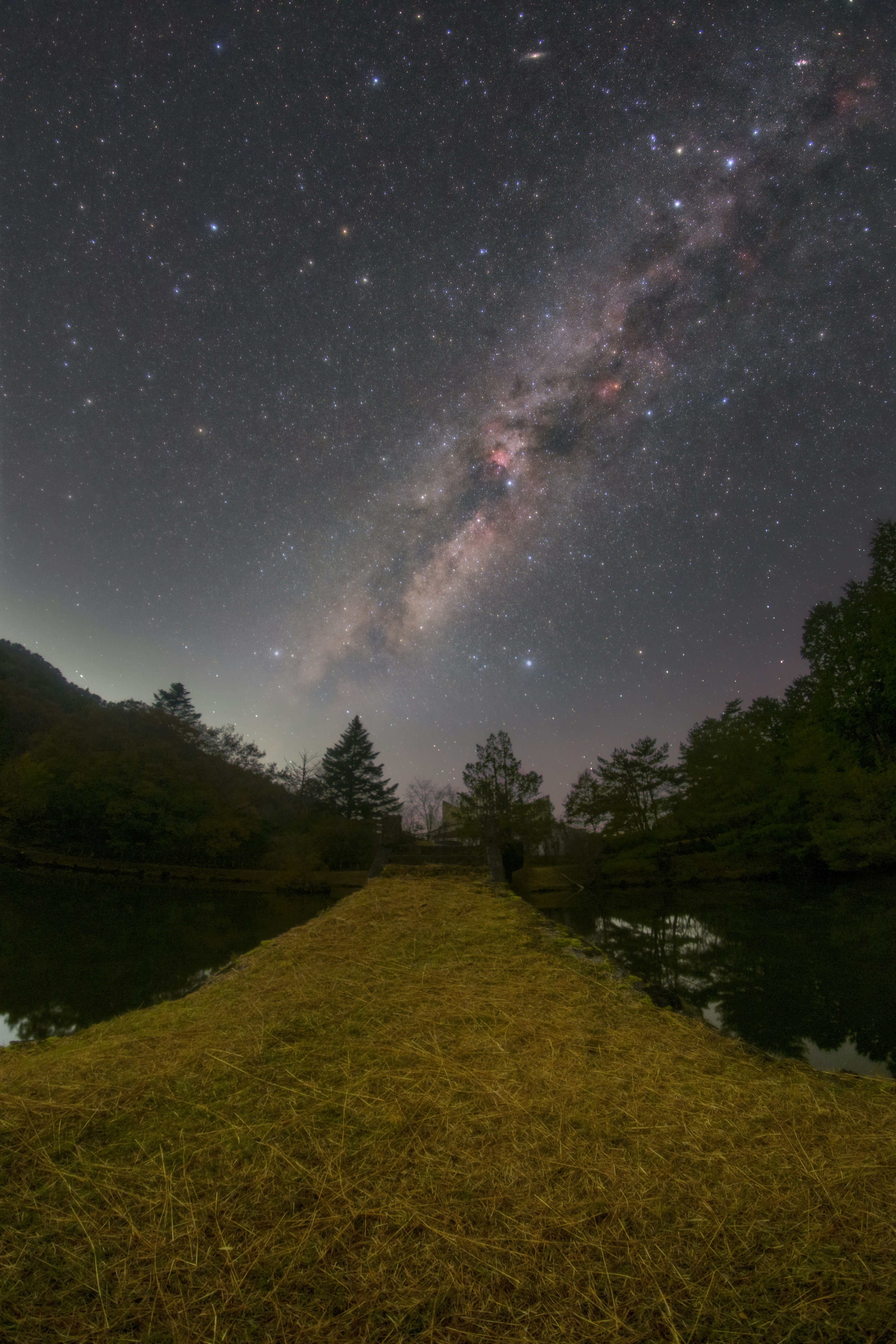 Landscape featuring grass path and water surface under starry sky