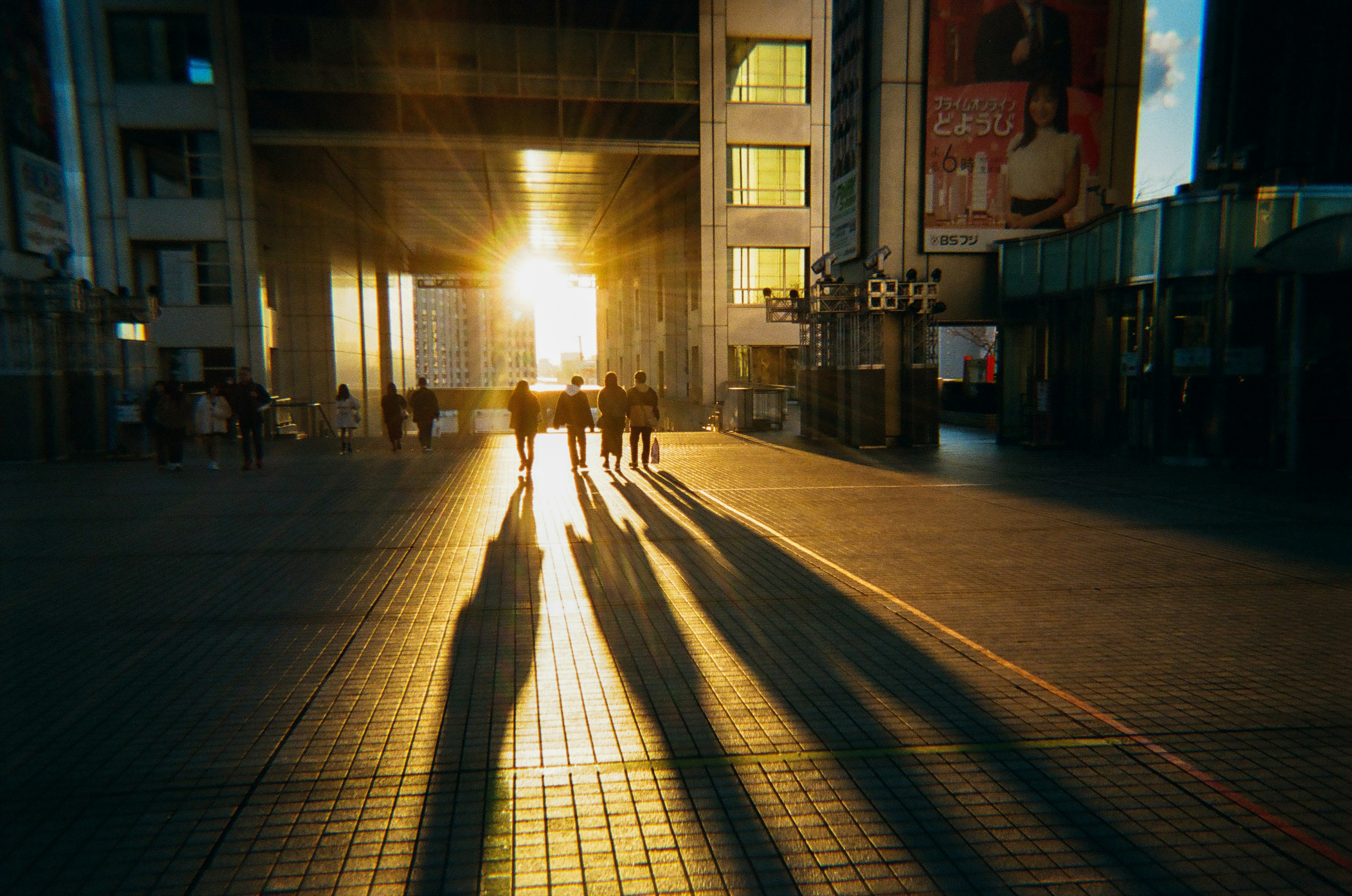 夕日を背にした人々の影が長く伸びる都市の風景