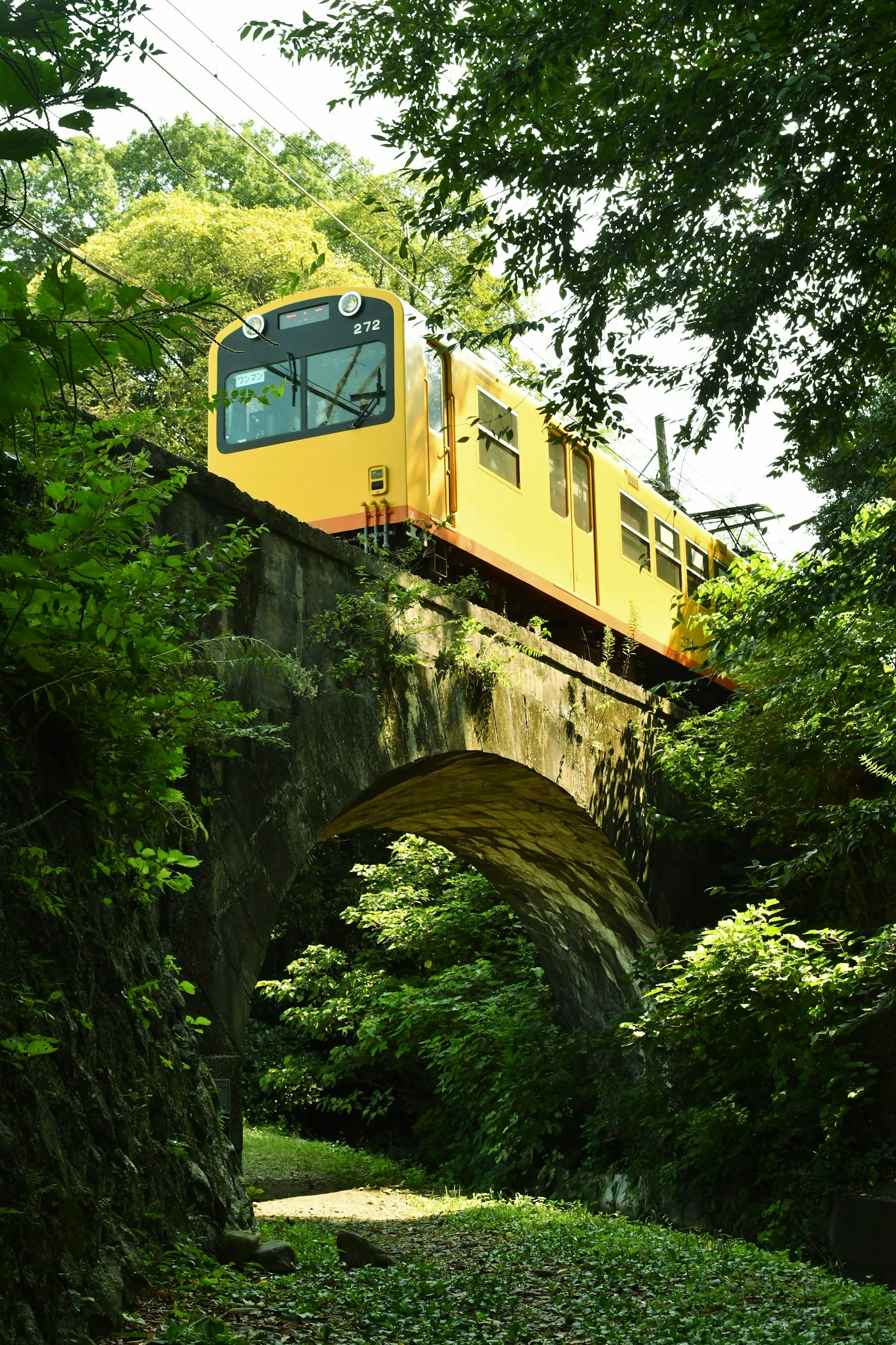 Train jaune circulant sur un vieux pont entouré de verdure