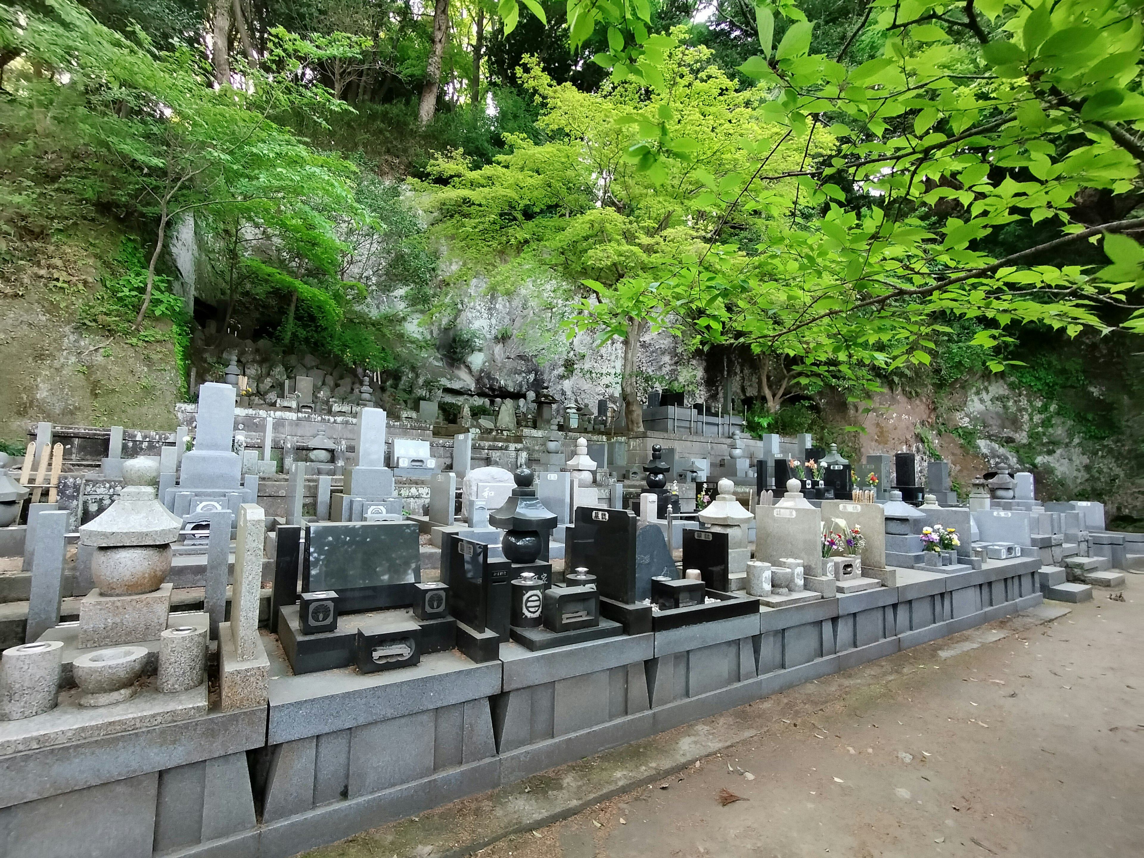 Cemetery scene with rows of gravestones surrounded by lush green trees