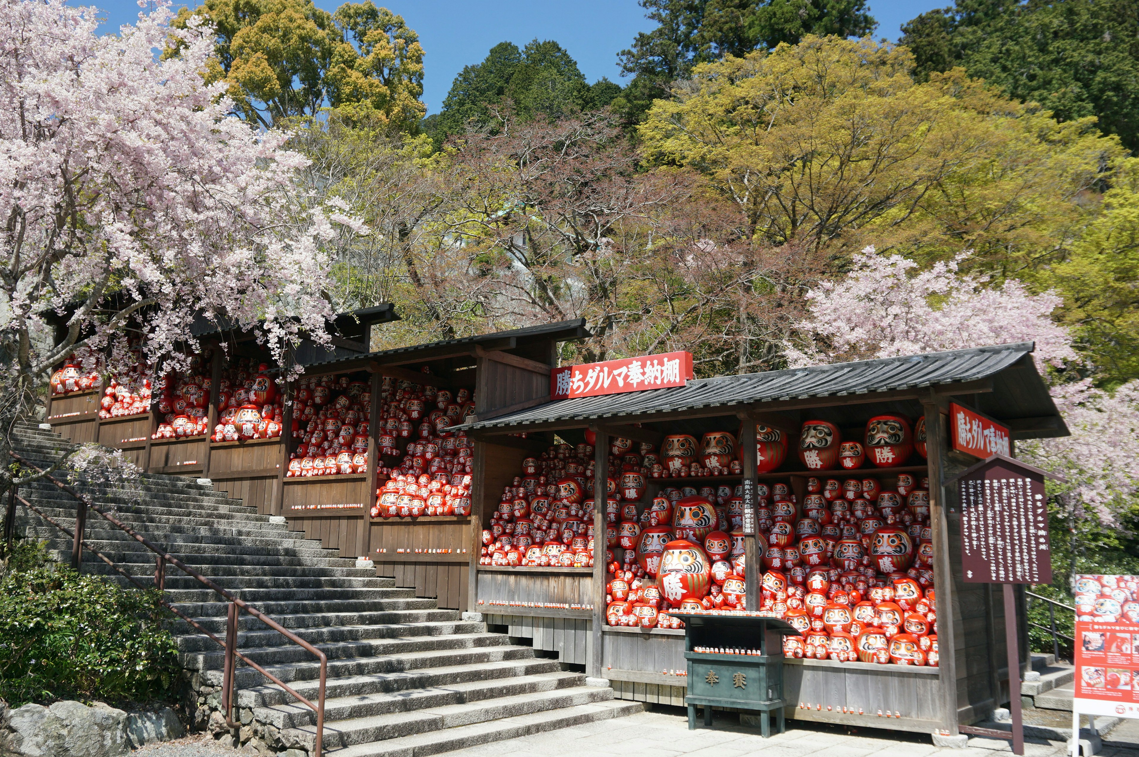 Traditionelle japanische Gebäude umgeben von Kirschblütenbäumen und Laternen