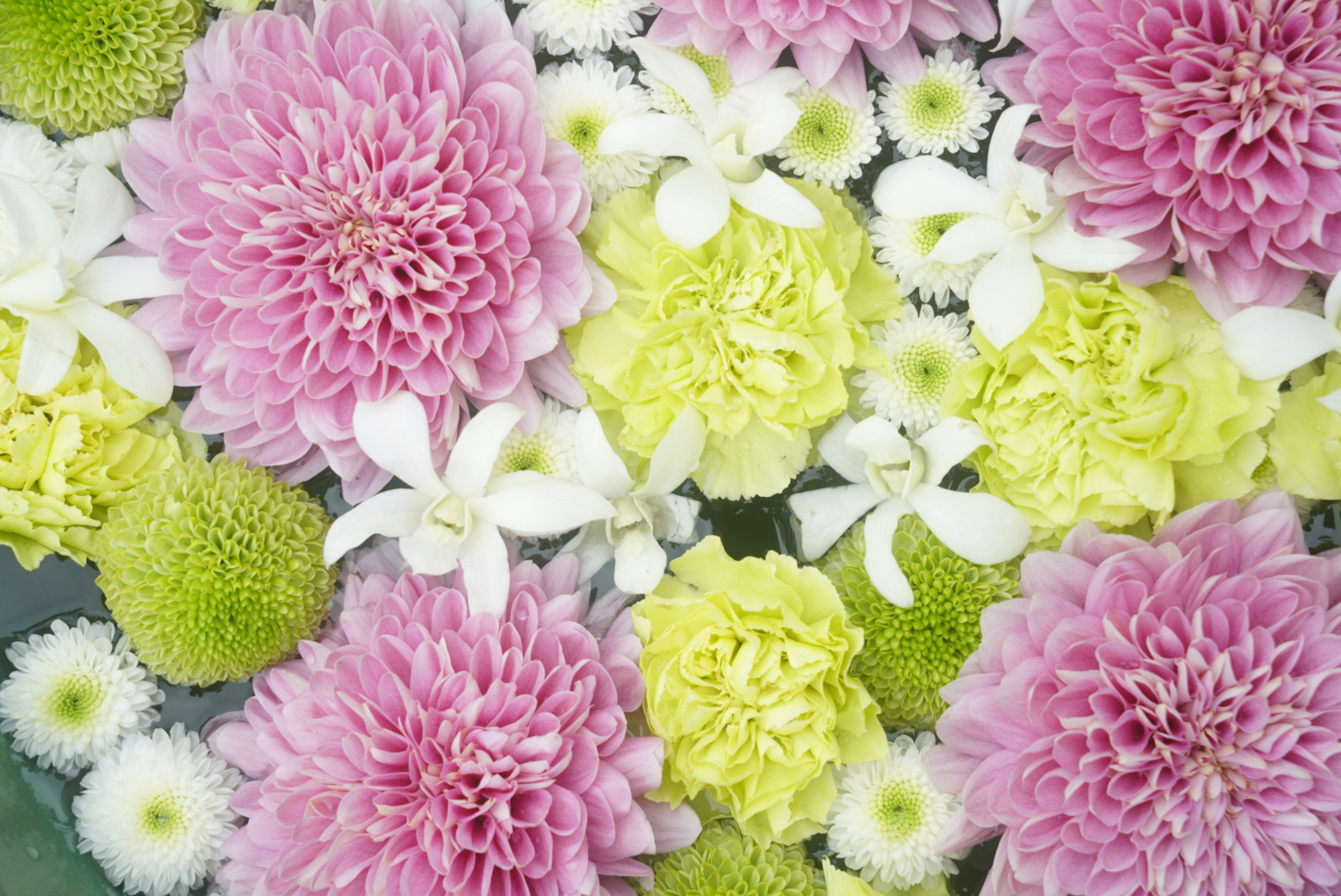 A vibrant arrangement of pink, yellow, and white flowers