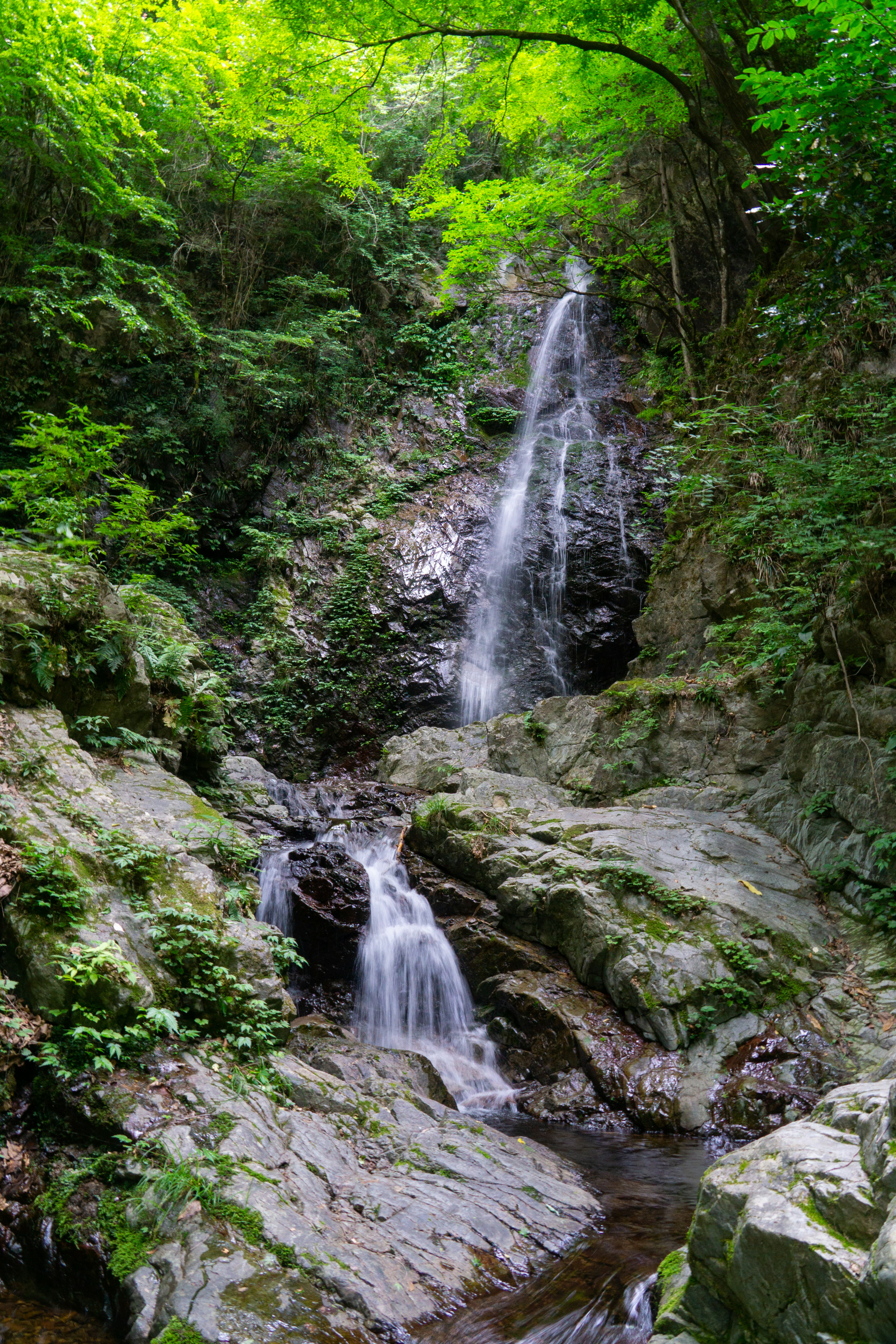 A serene waterfall surrounded by lush greenery and rocky terrain