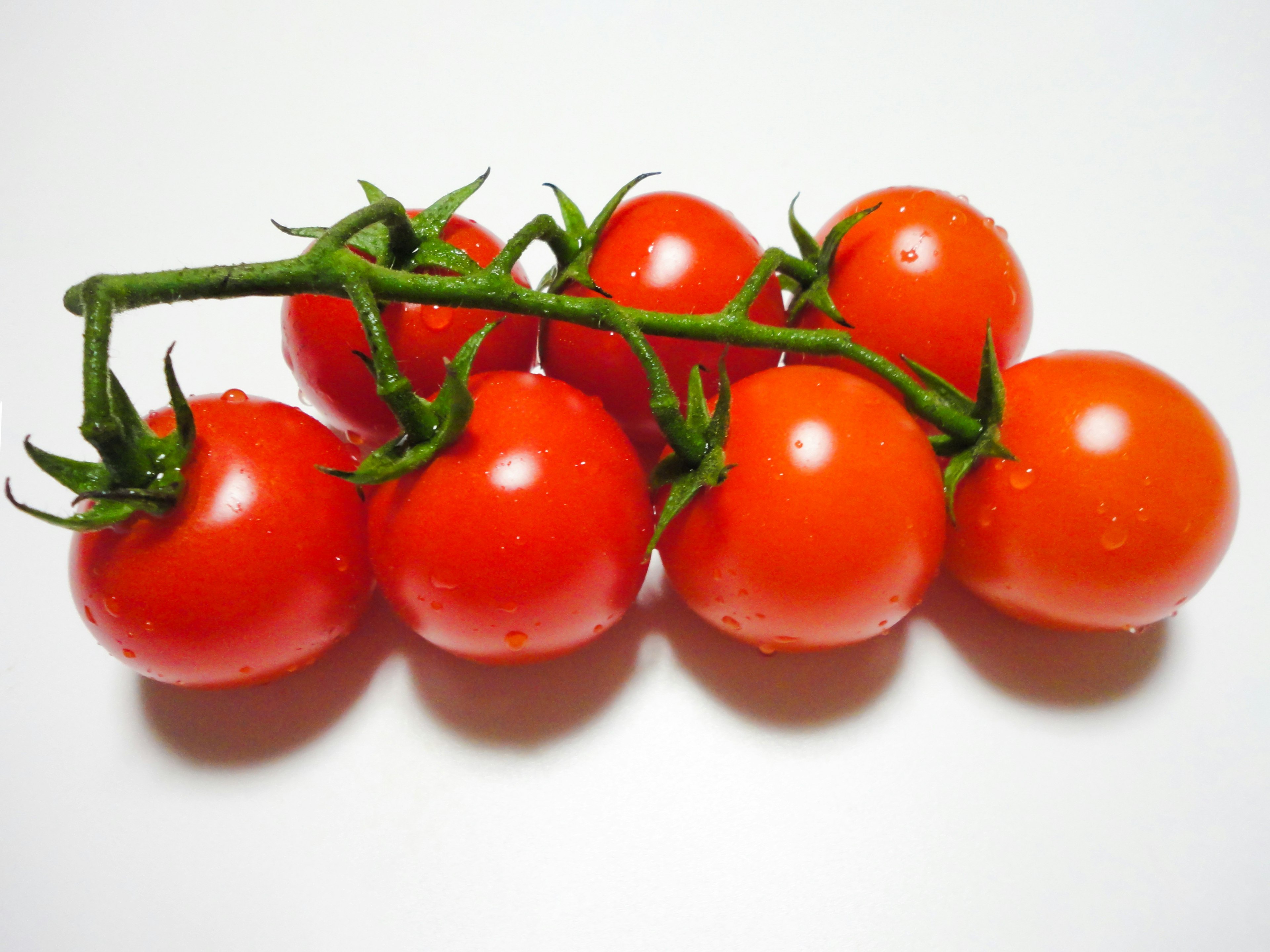 Une grappe de tomates cerises fraîches sur un fond blanc