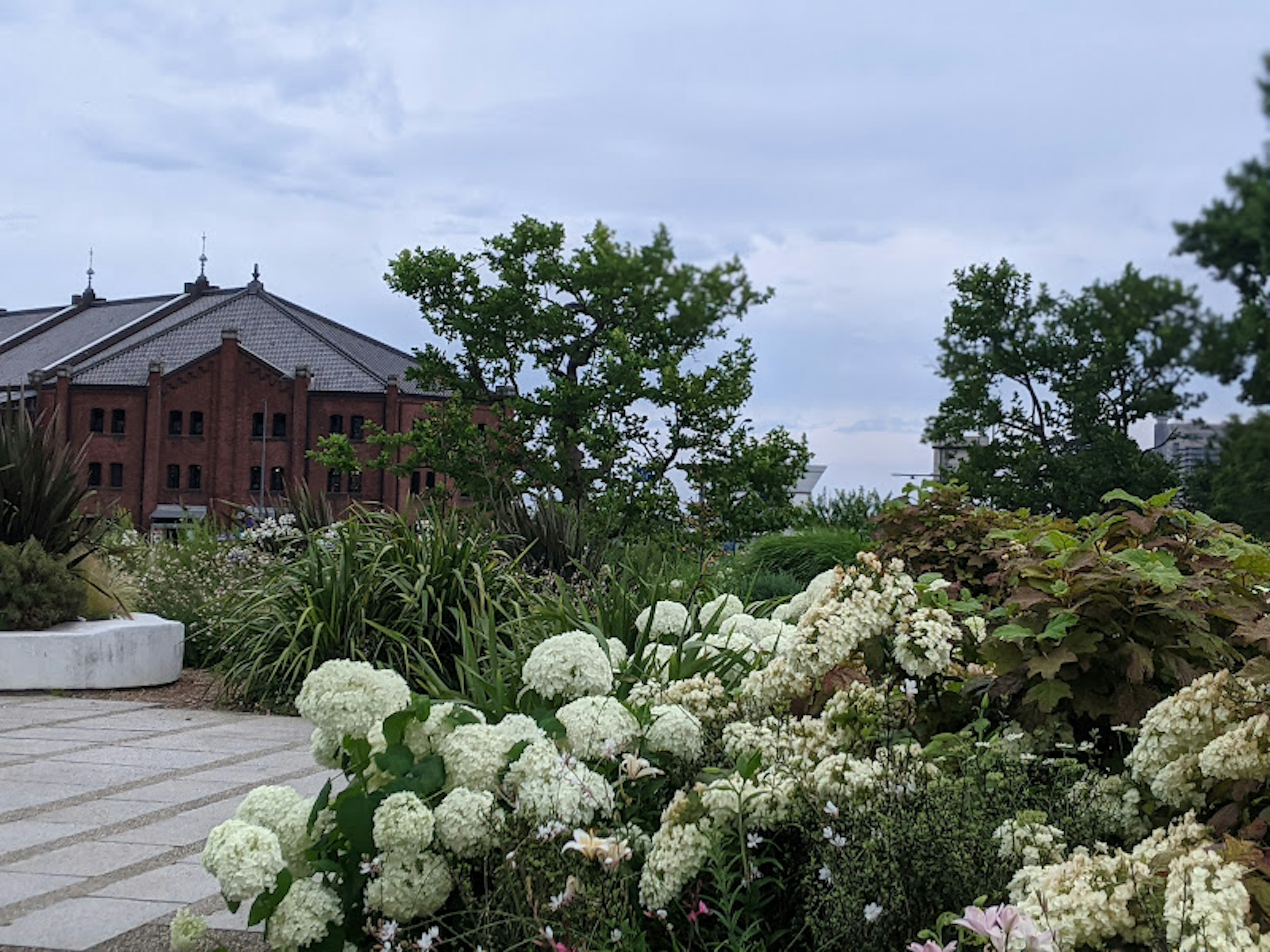 Lush garden with white flowers and a historical building in the background