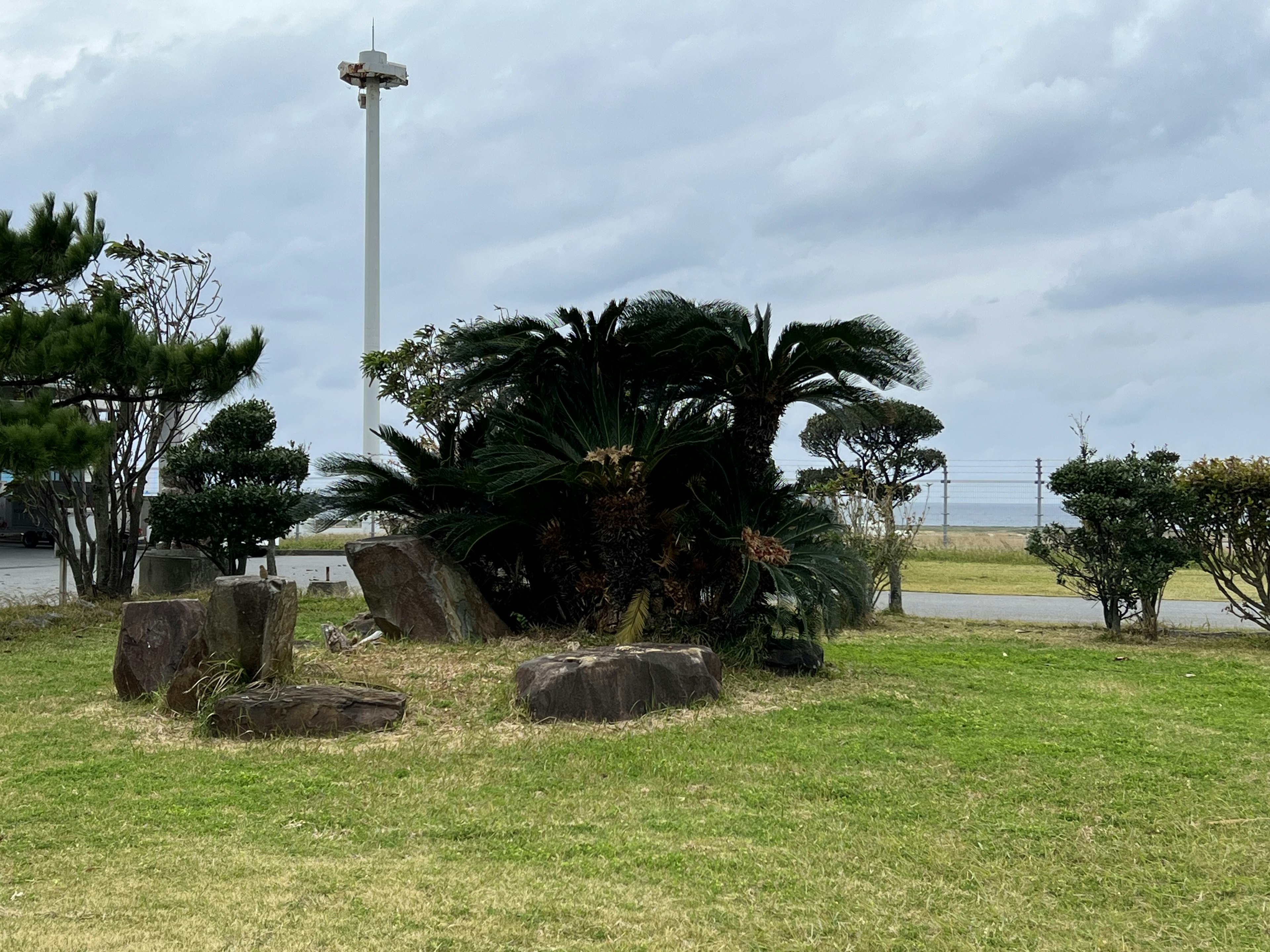 Grandes plantas y rocas dispuestas sobre el césped con un cielo nublado y un poste de luz al fondo