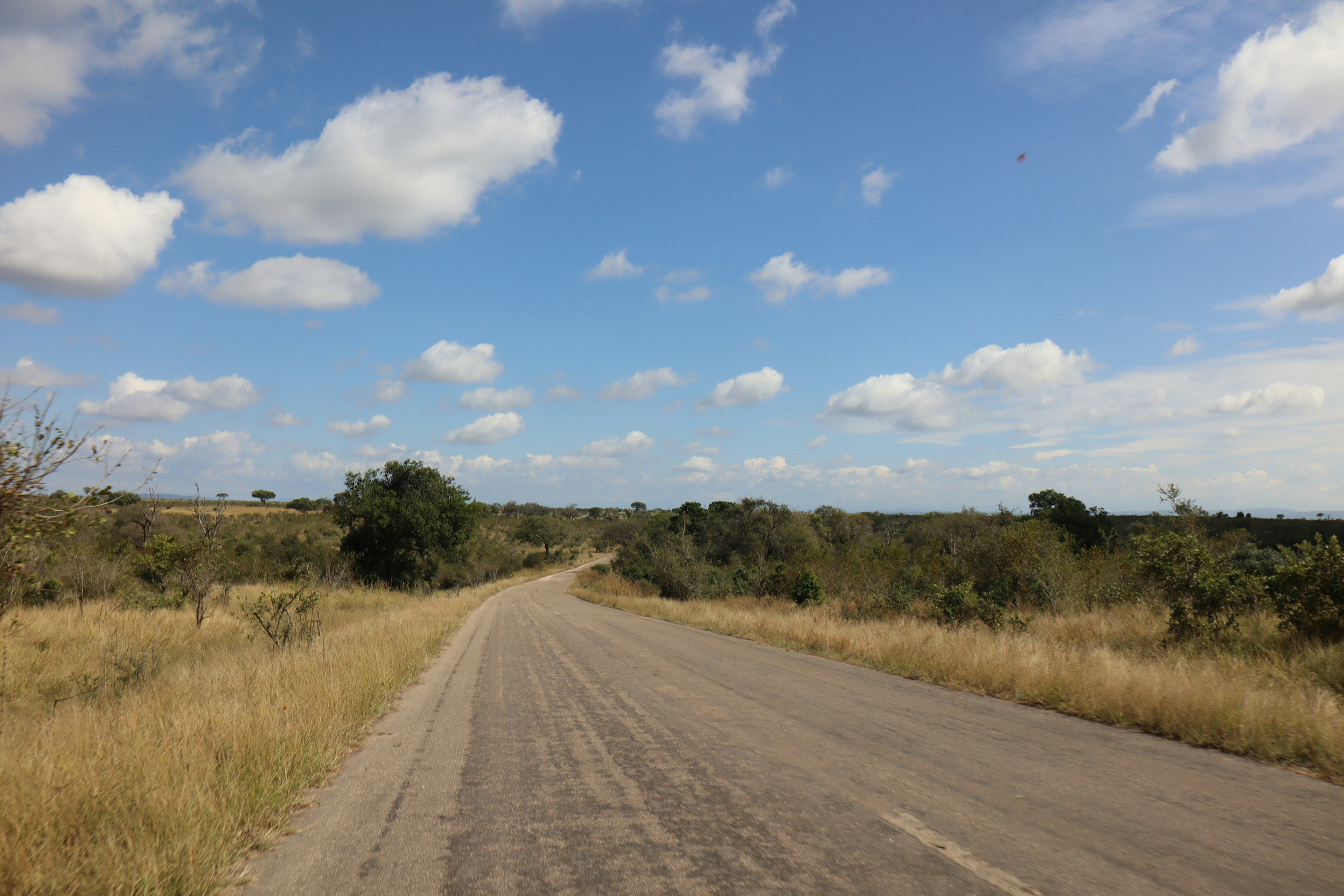 Kurvenreiche Straße durch offenes Grasland unter blauem Himmel