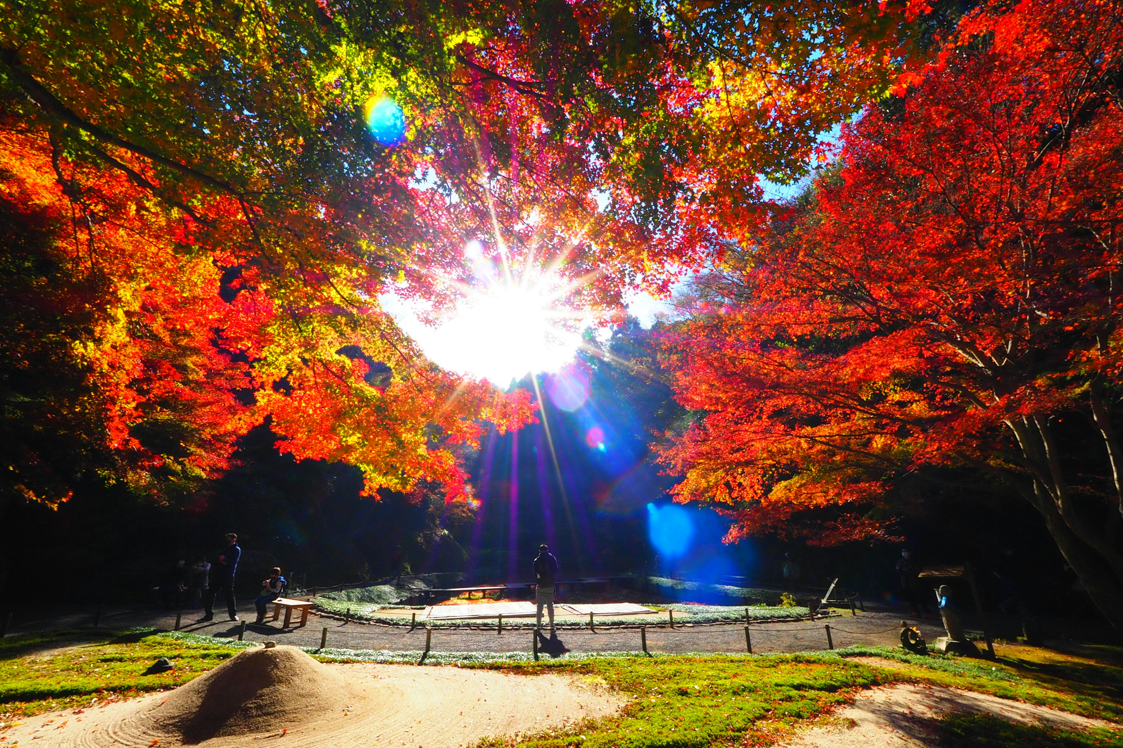 Park scene surrounded by autumn foliage sunlight streaming through