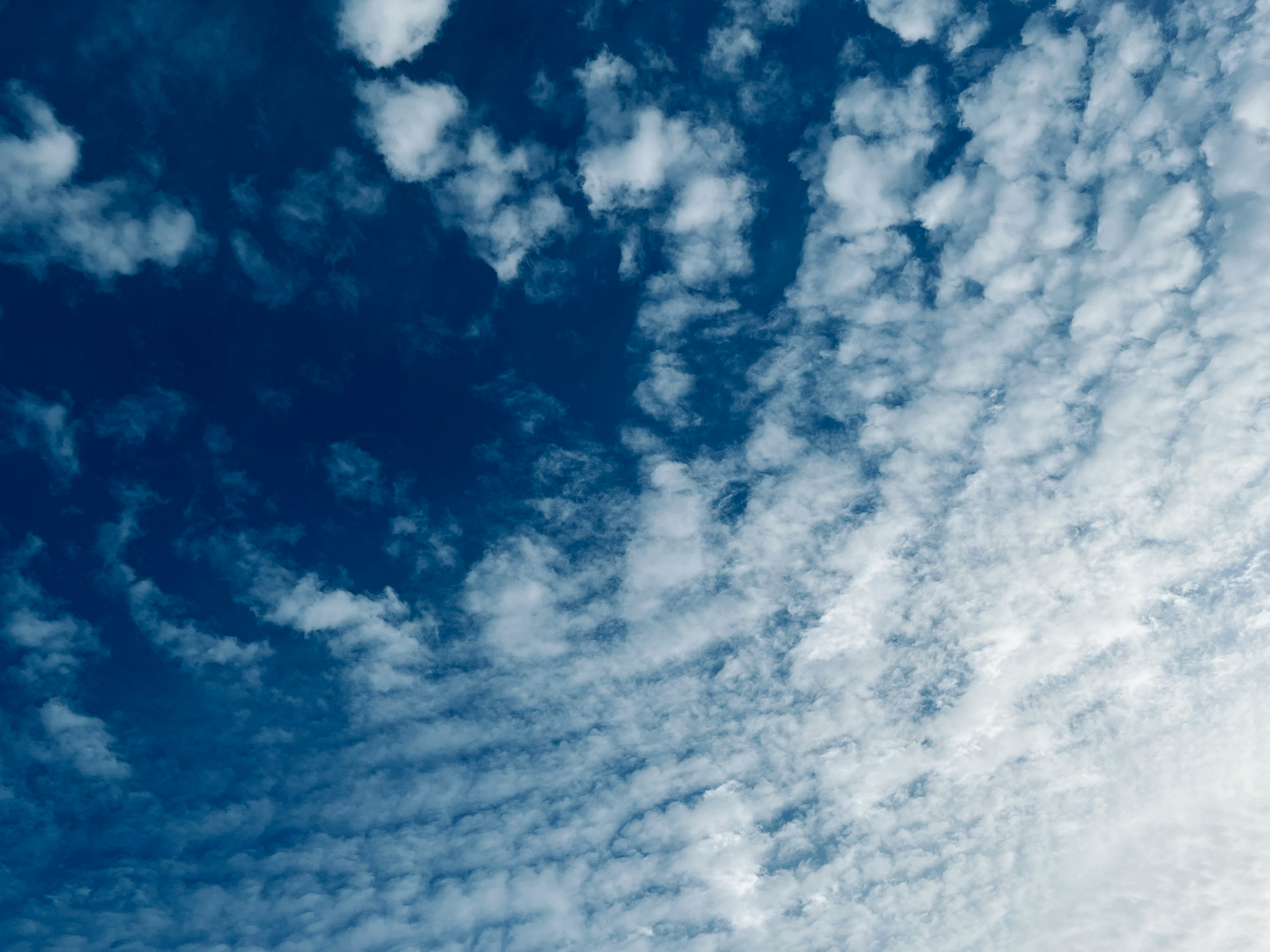 Blue sky with white clouds in a dynamic pattern