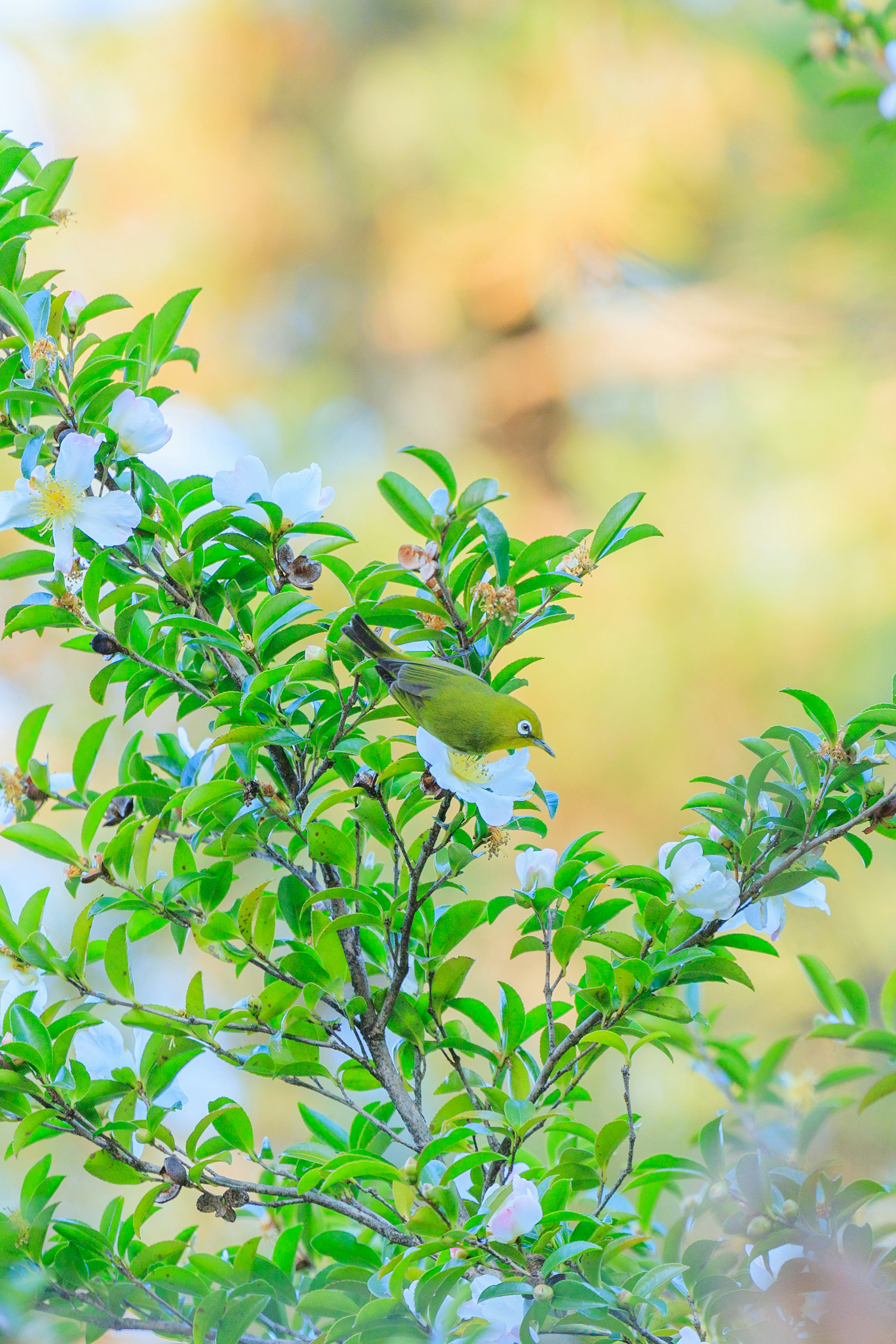 Un piccolo uccello circondato da foglie verdi in un bellissimo ambiente naturale