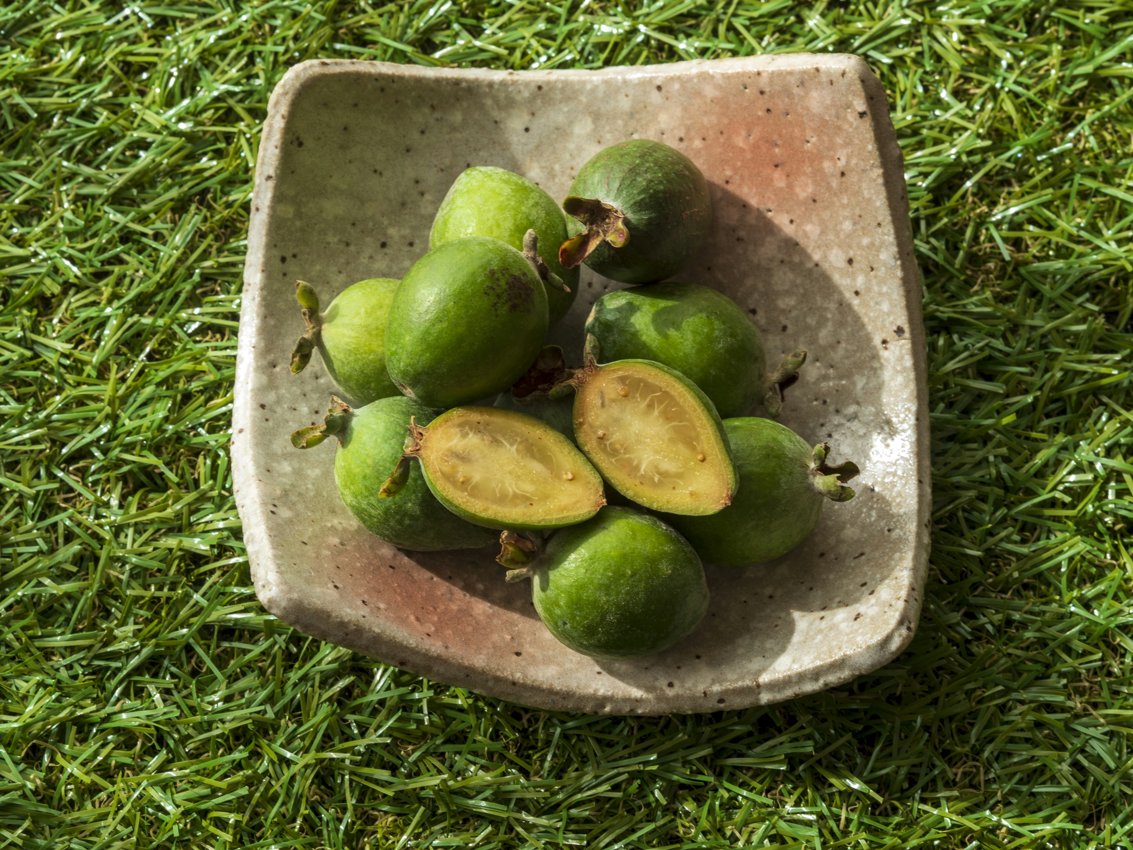 Piring keramik dengan buah hijau diletakkan di atas rumput sintetis