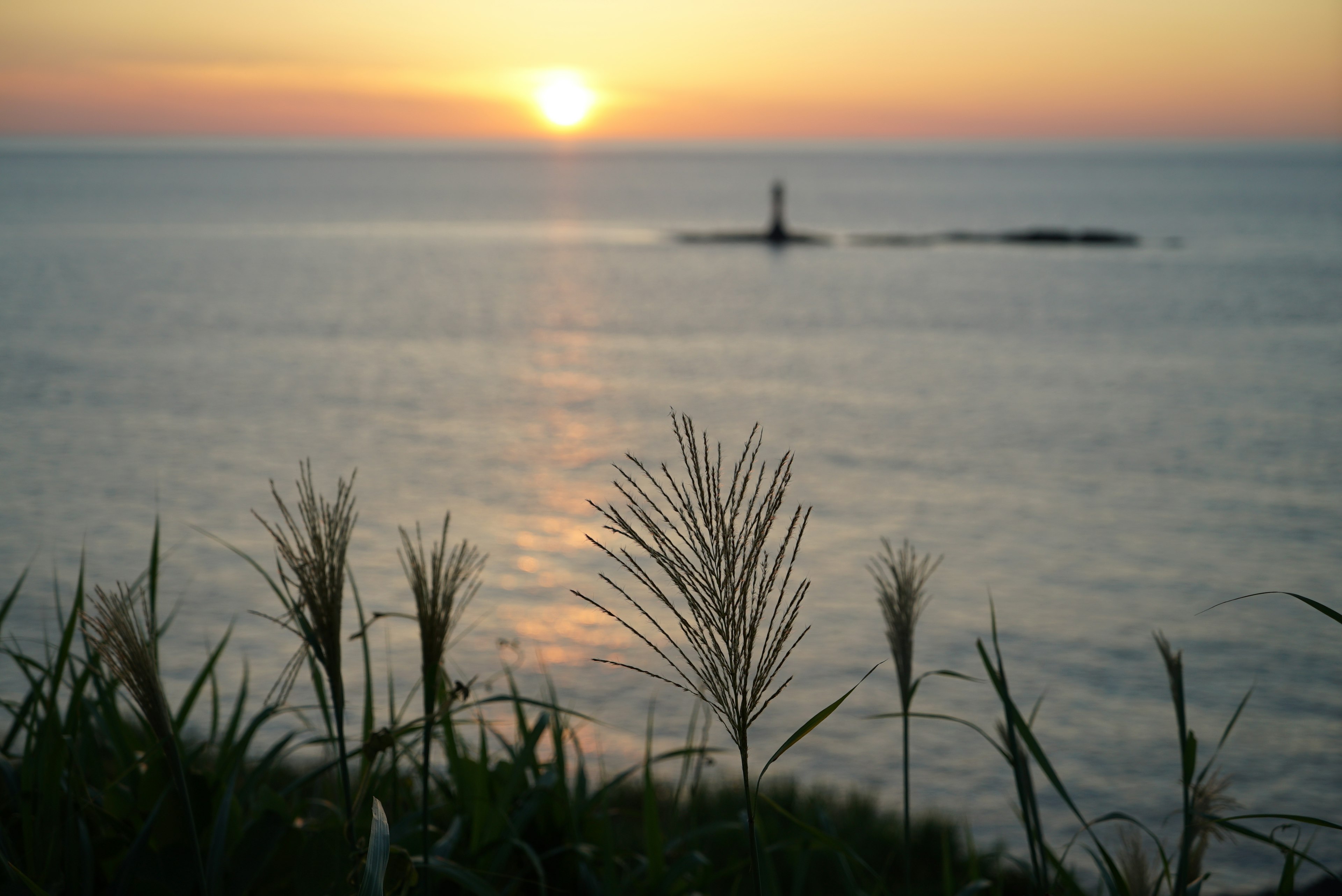 海の向こうに灯台が見える夕日と草