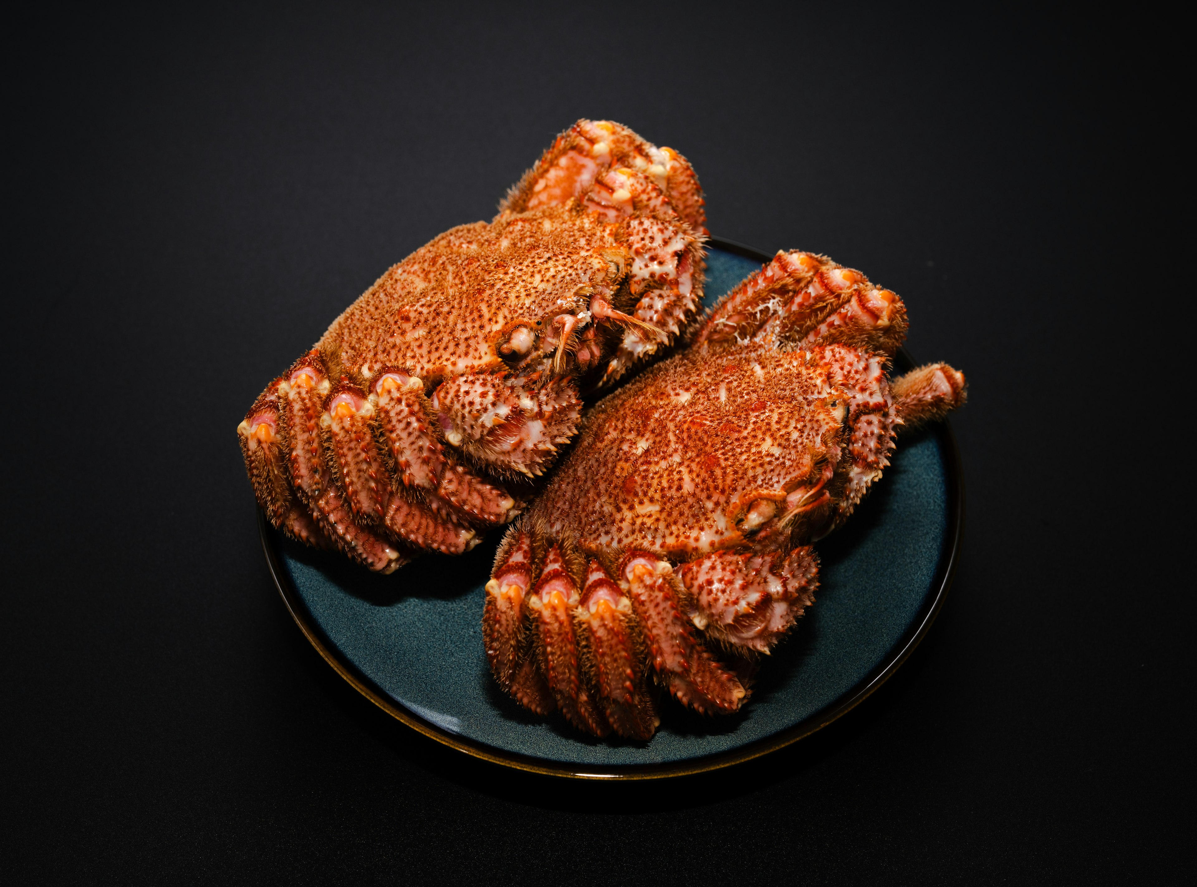 Two crabs beautifully arranged on a blue plate against a black background