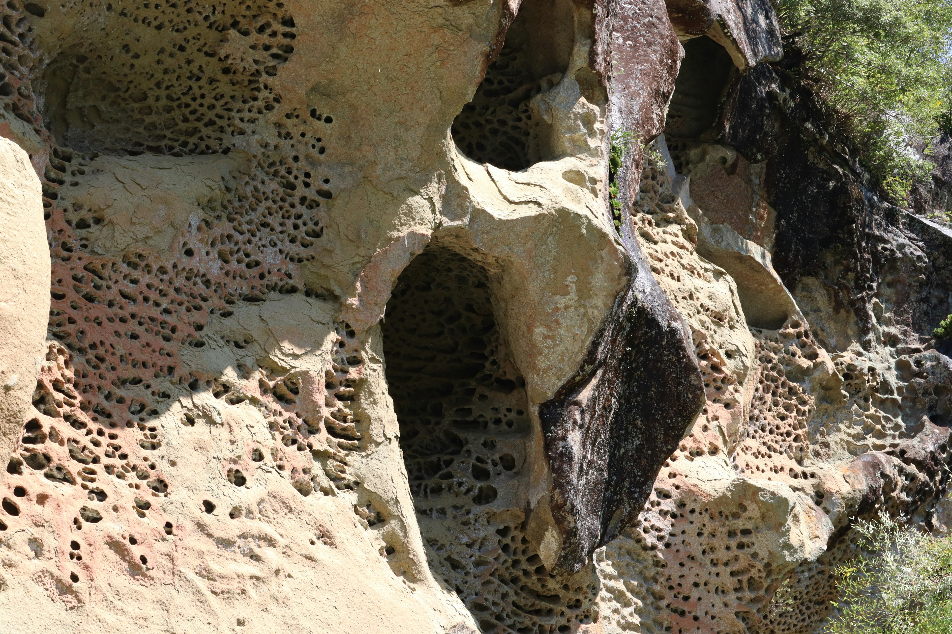 Unique rock formation showcasing holes and textures in natural stone