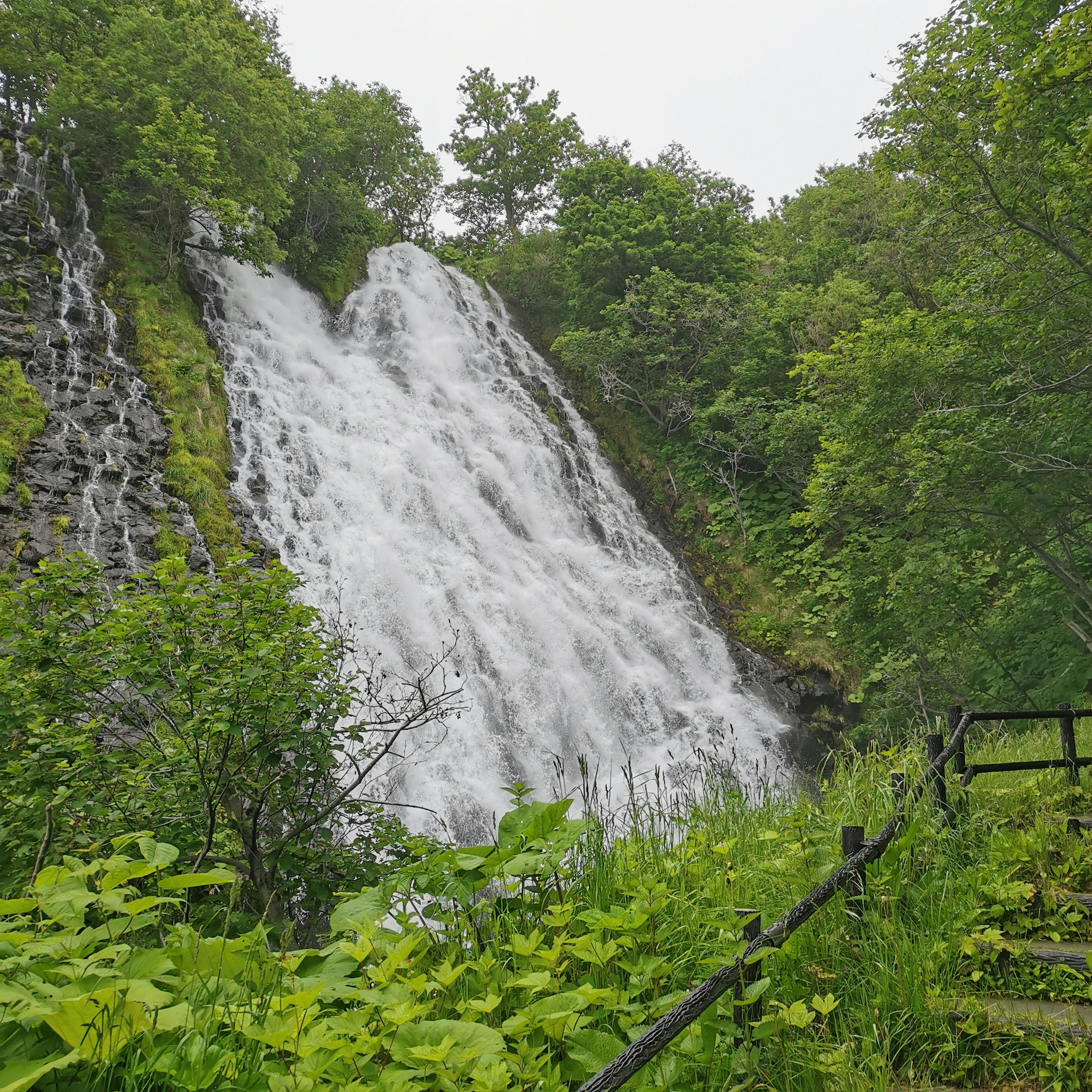 A beautiful waterfall surrounded by lush greenery