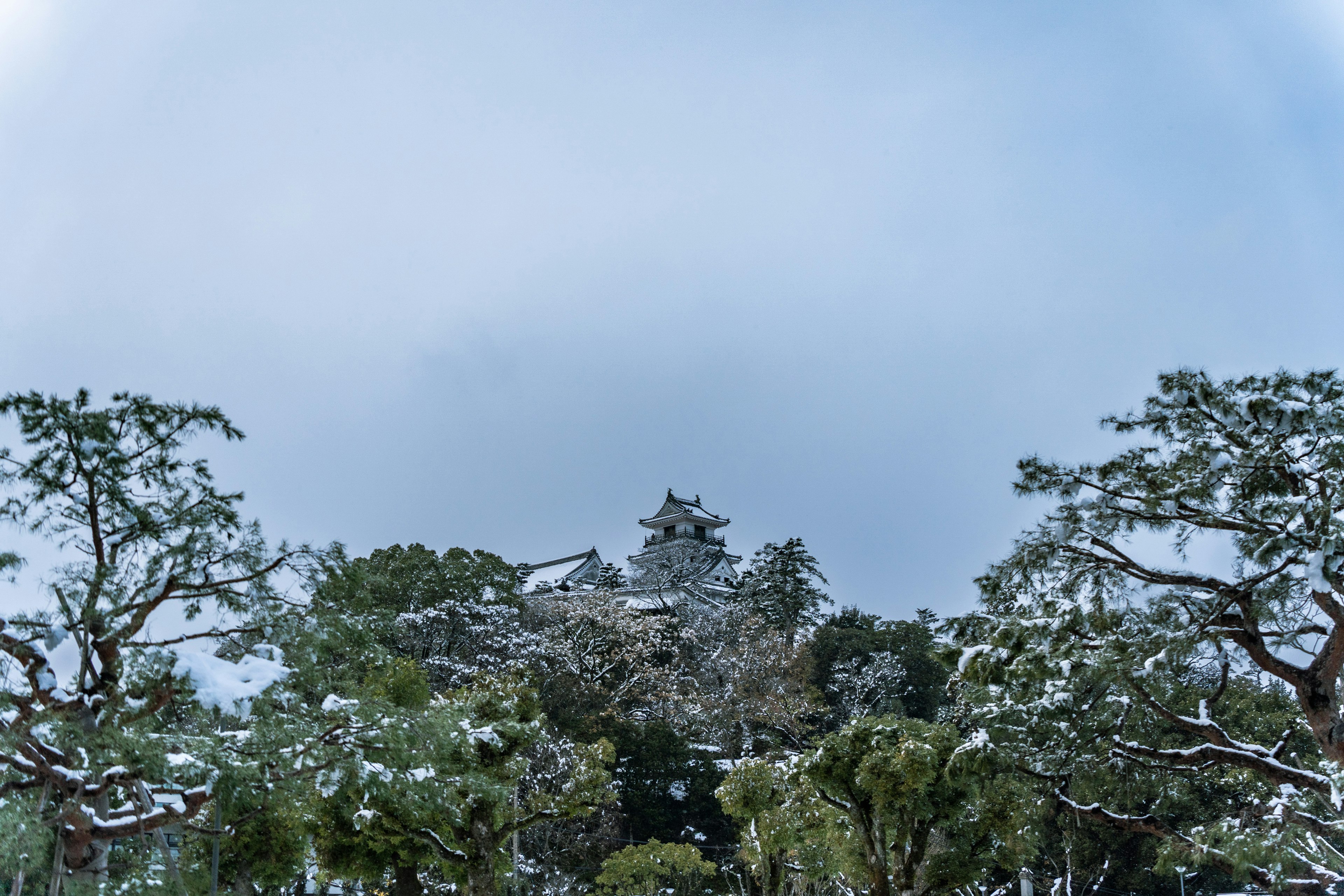 雪に覆われた木々と城が見える風景