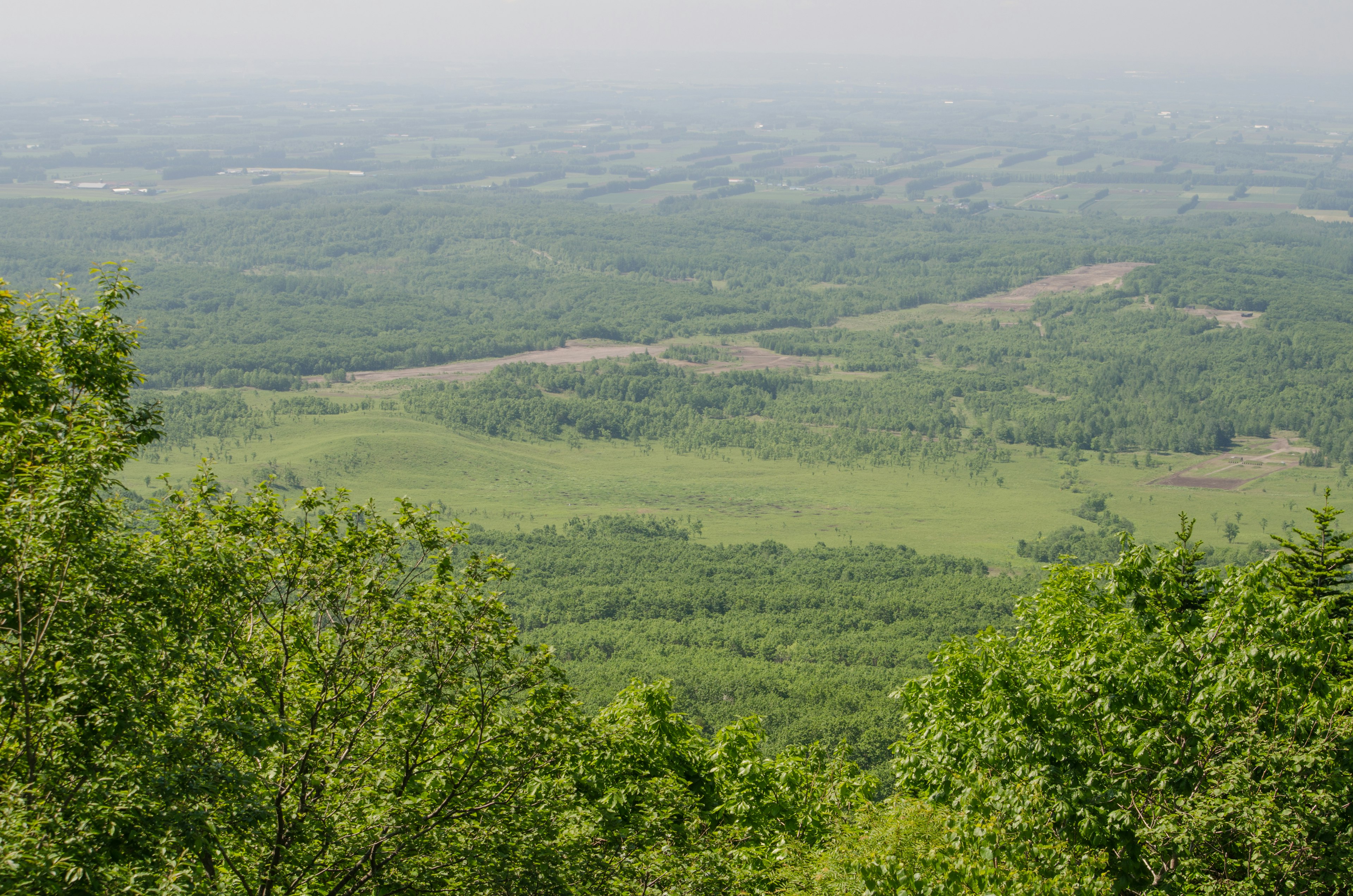 Vue du sommet d'une montagne montrant un paysage verdoyant