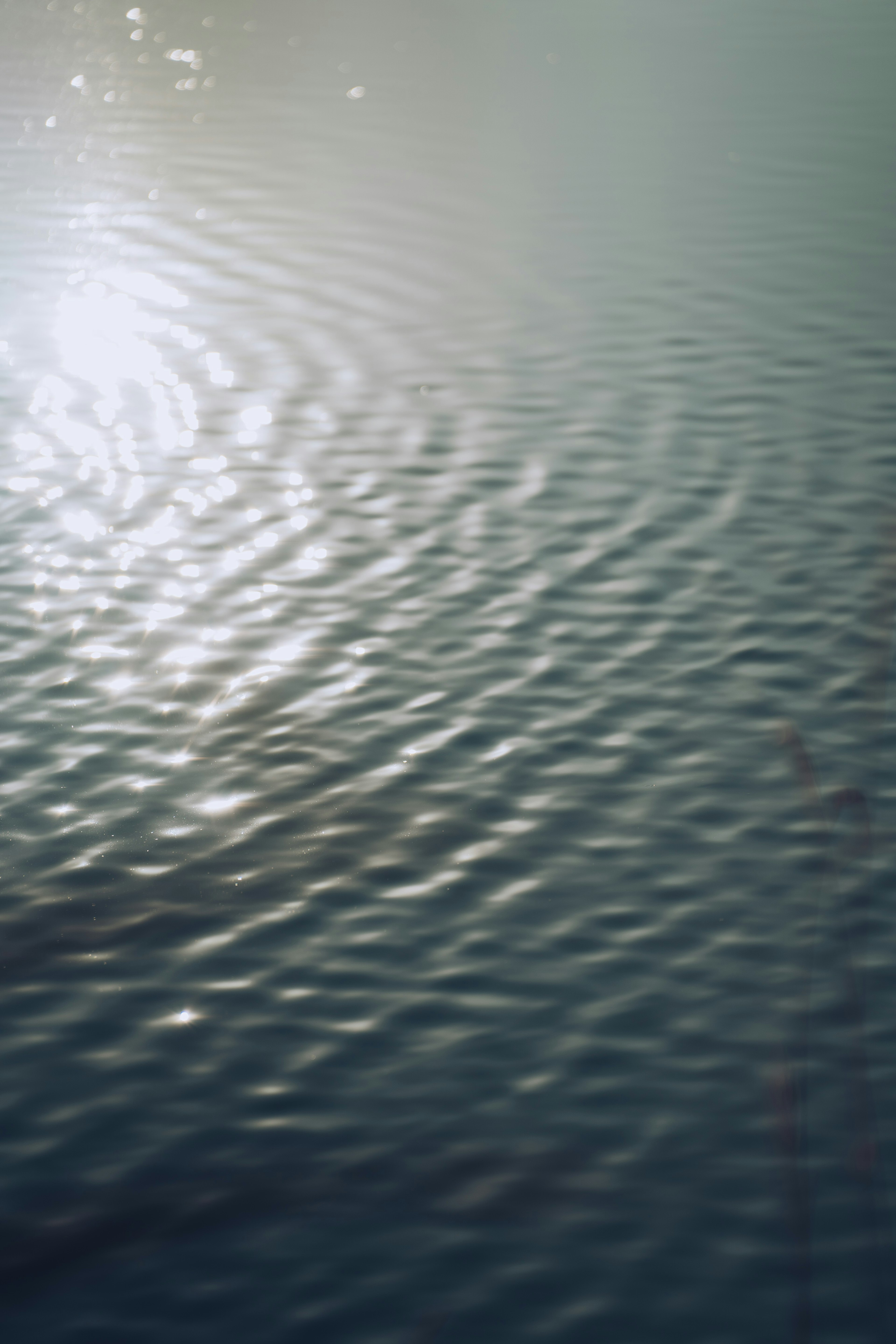 Calm water surface with ripples and reflections of light