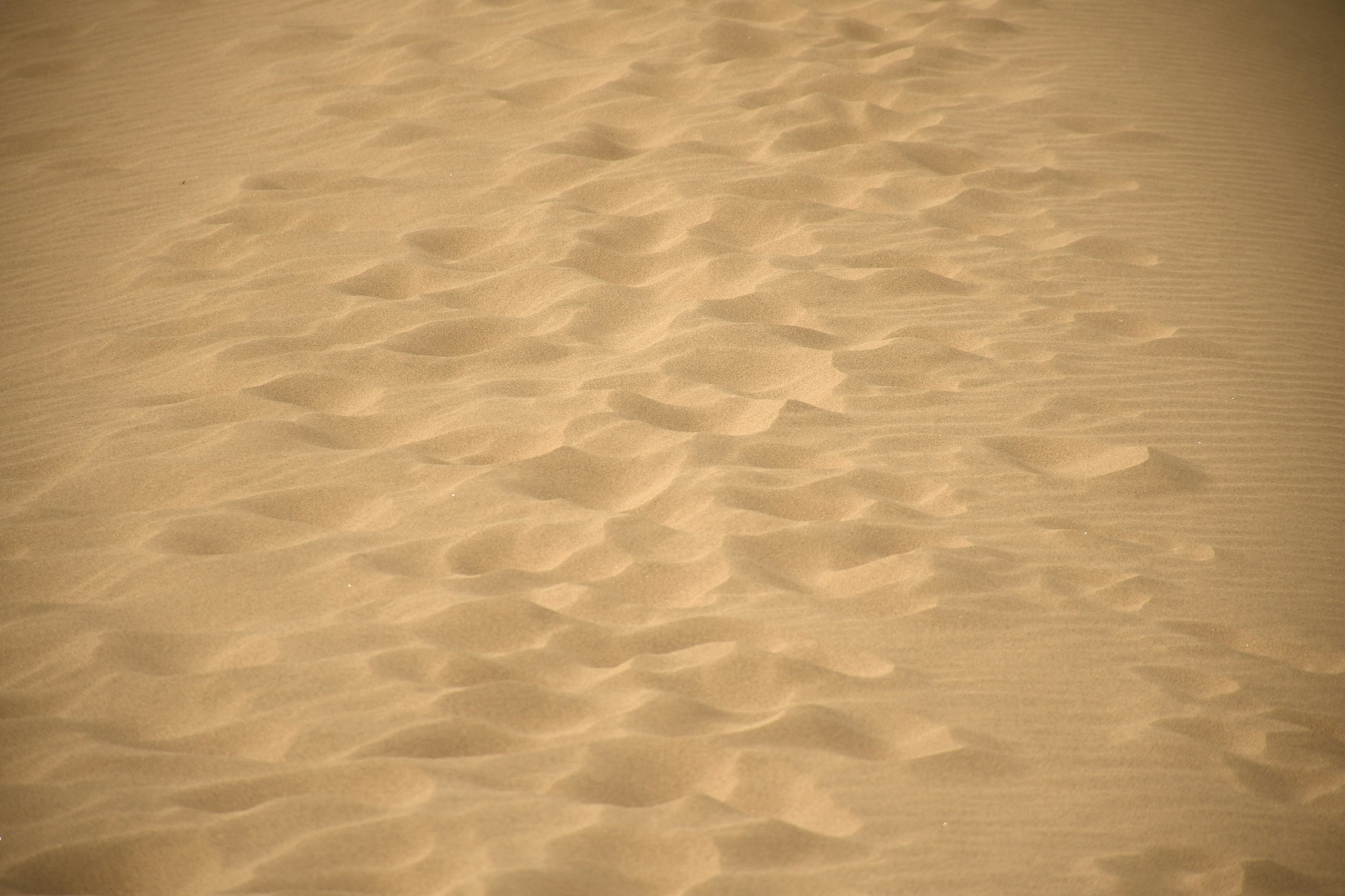 Immagine che mostra i motivi e la texture del terreno sabbioso