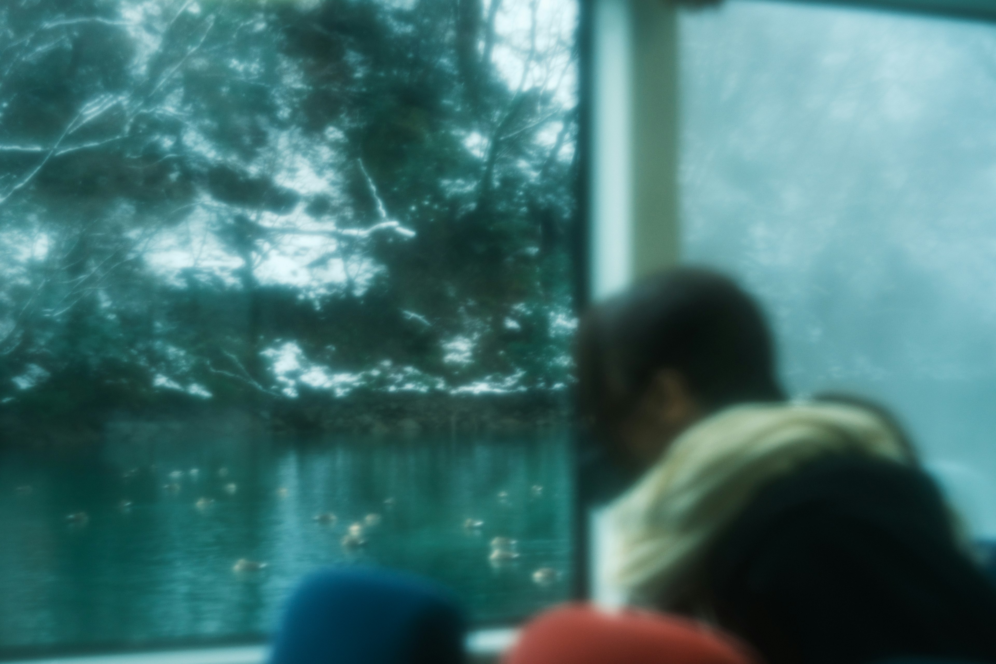 Blurred view through a window showing water surface and snow-covered trees