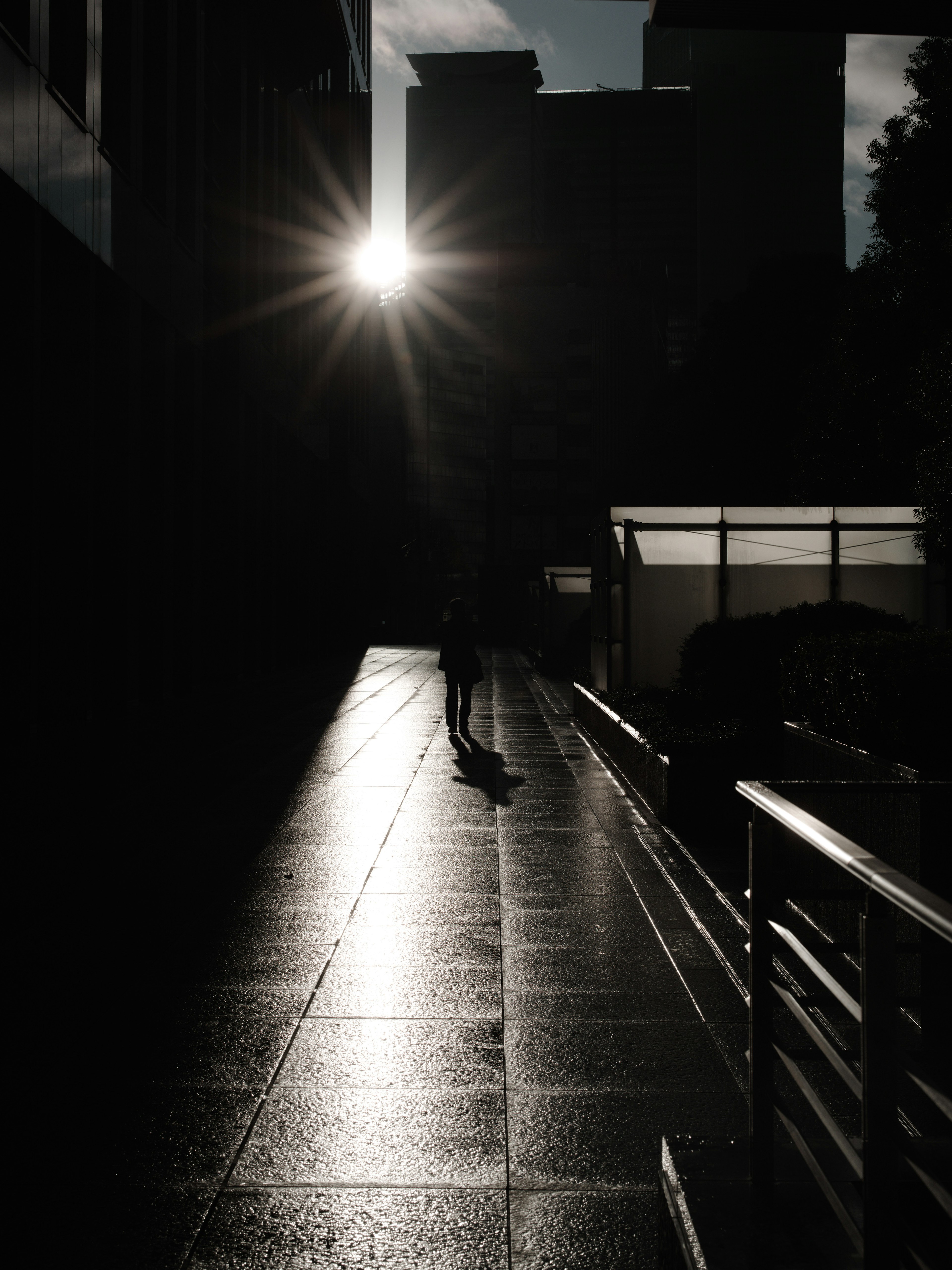 Una persona che cammina nell'ombra con il tramonto dietro