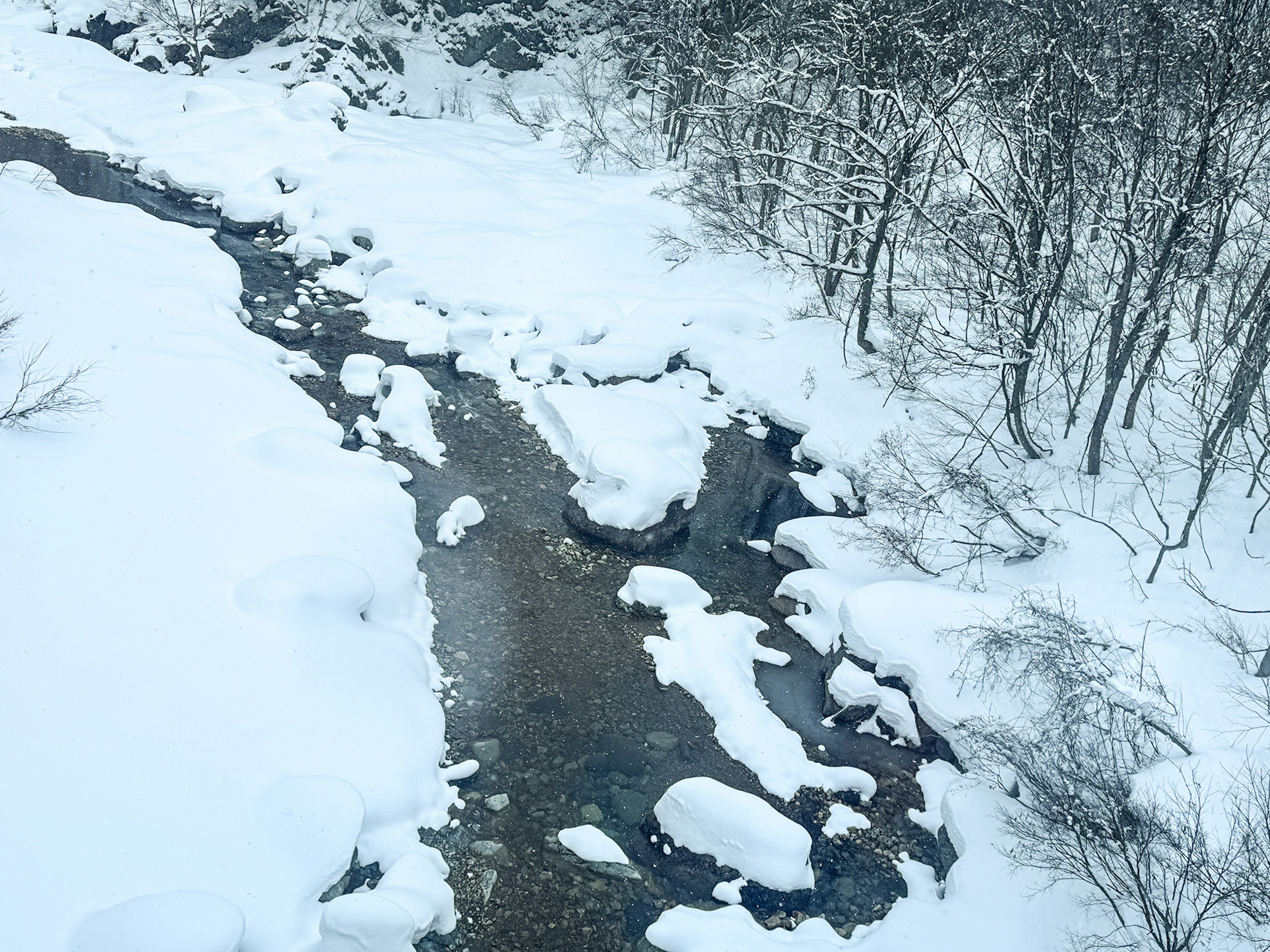 Vista panoramica di un fiume coperto di neve con alberi circostanti