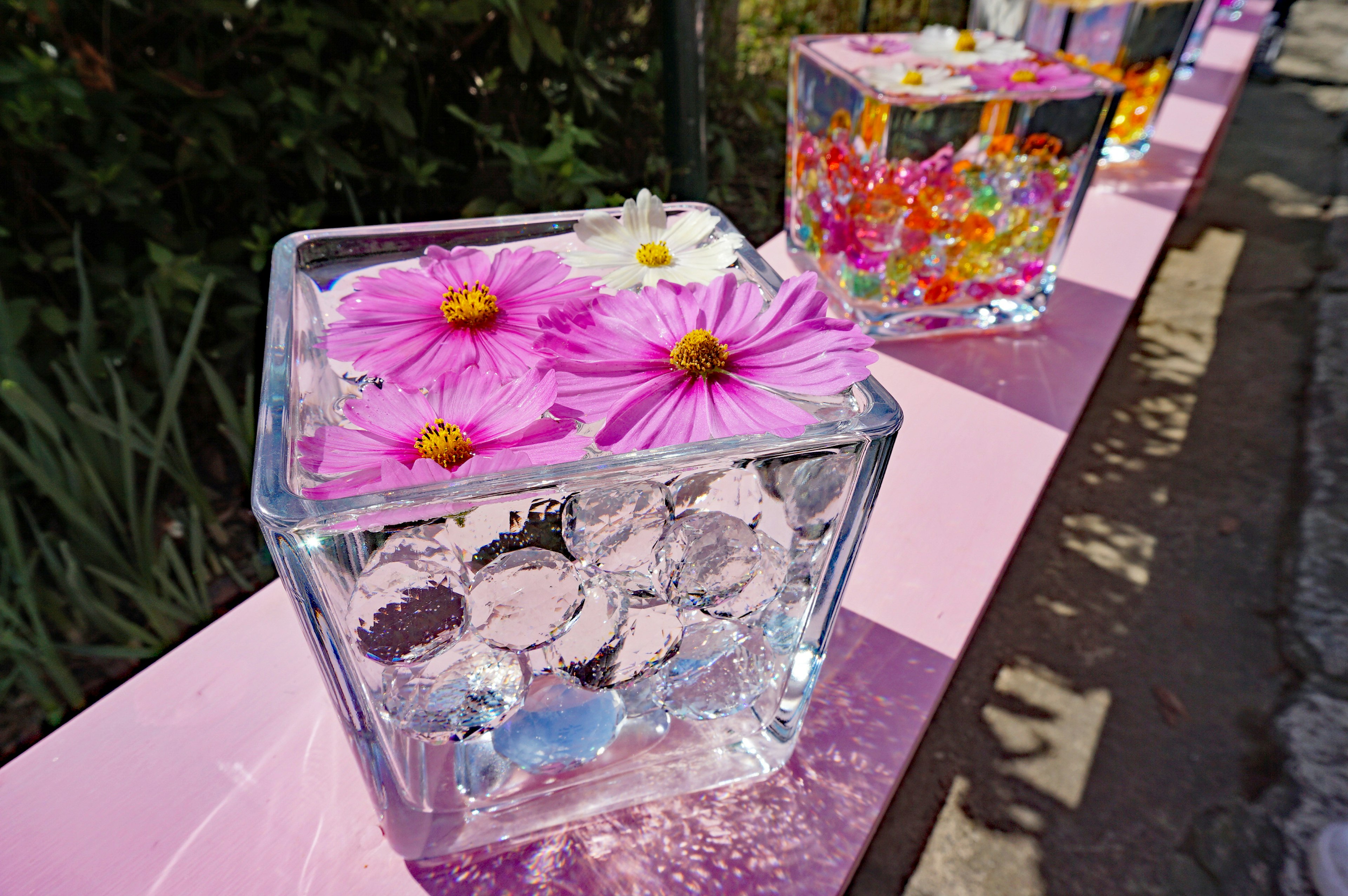 Schöne Dekoration mit Blumen, die in transparenten Eiswürfeln schwimmen