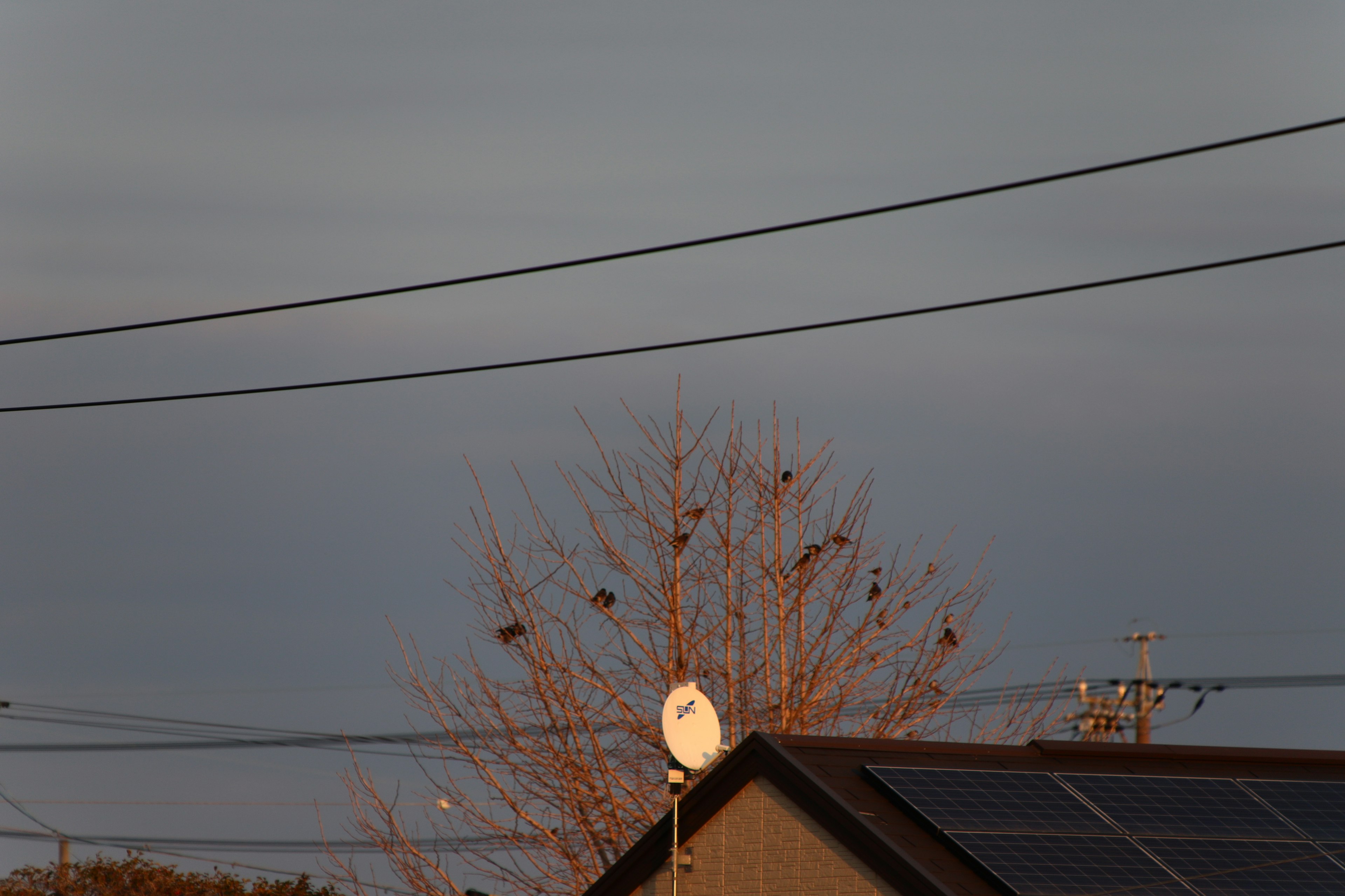 Silhouette of a house and tree under a cloudy sky featuring power lines and solar panels