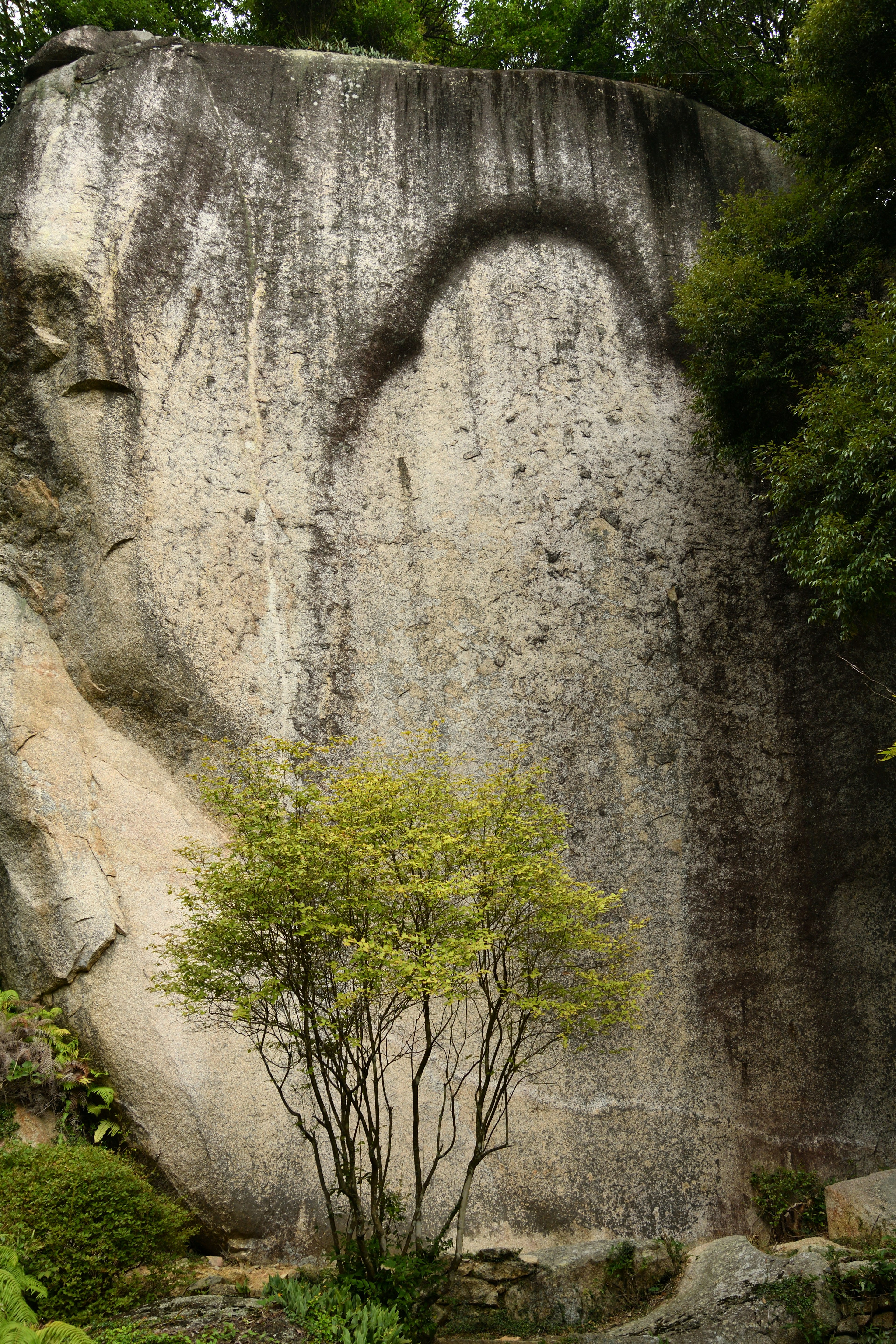 Grande roche avec une forme distinctive et un petit arbre devant