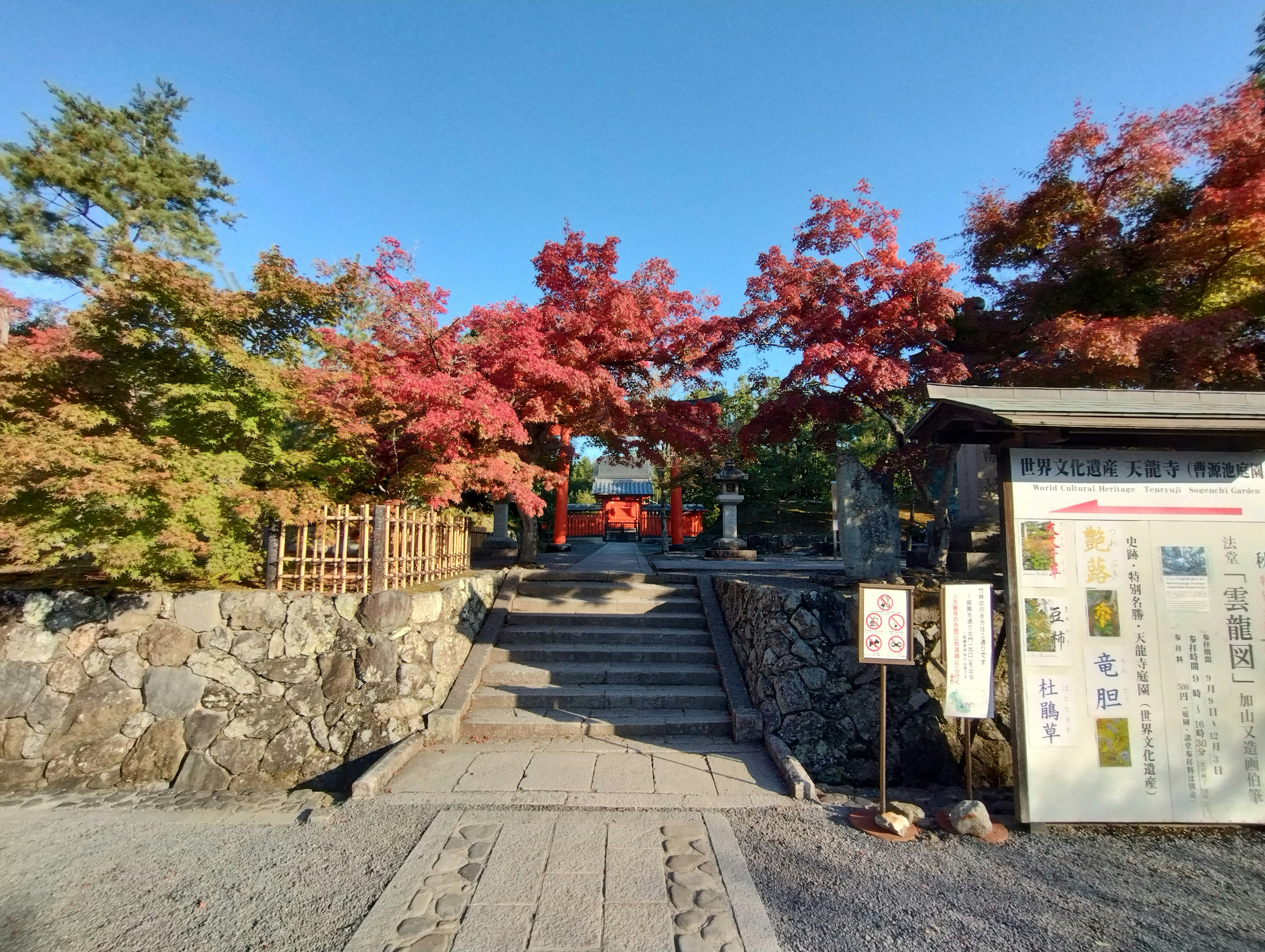 Entrée avec des escaliers en pierre entourés de feuillage d'automne vibrant