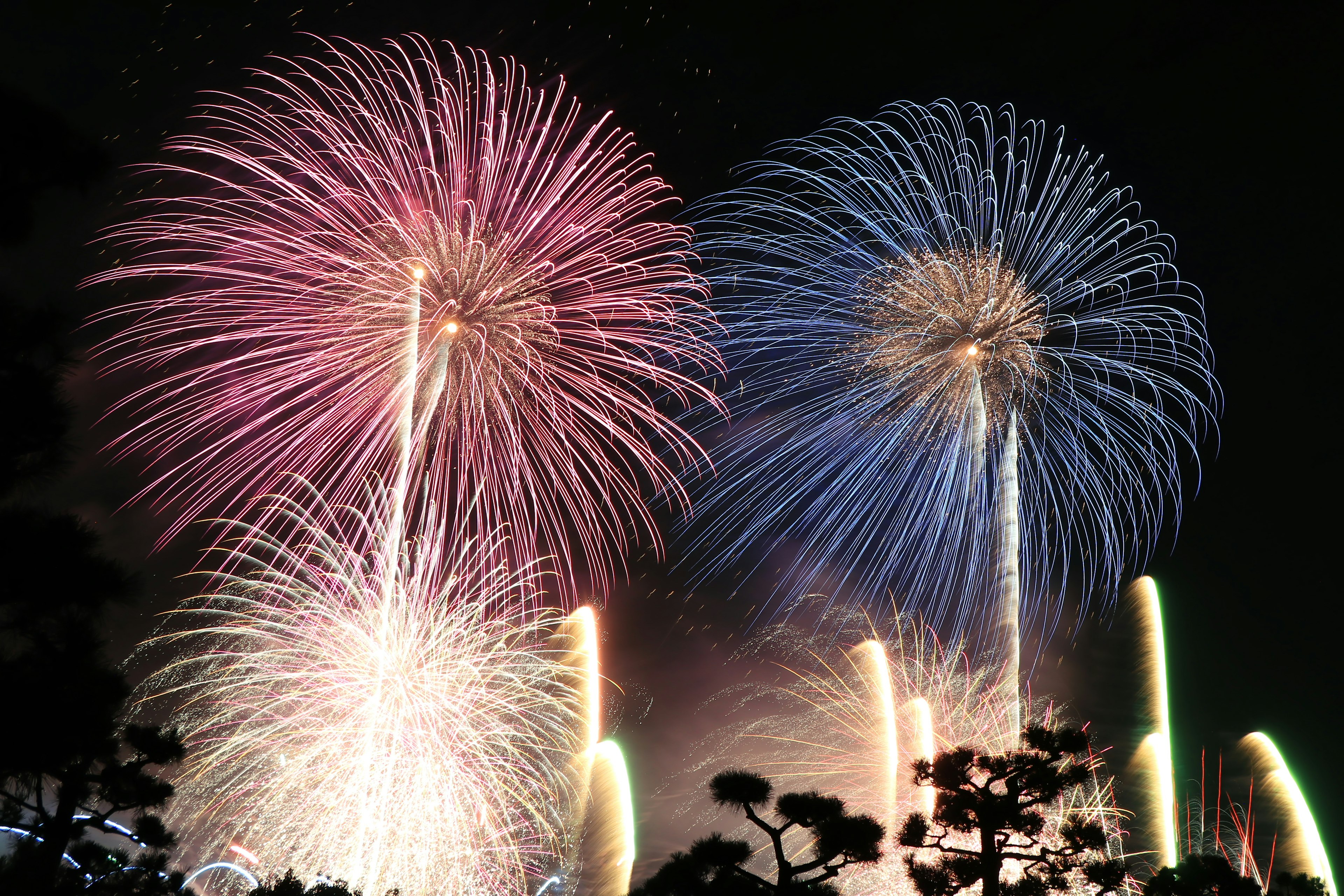 Schöne Feuerwerk-Show am Nachthimmel mit roten und blauen Farben