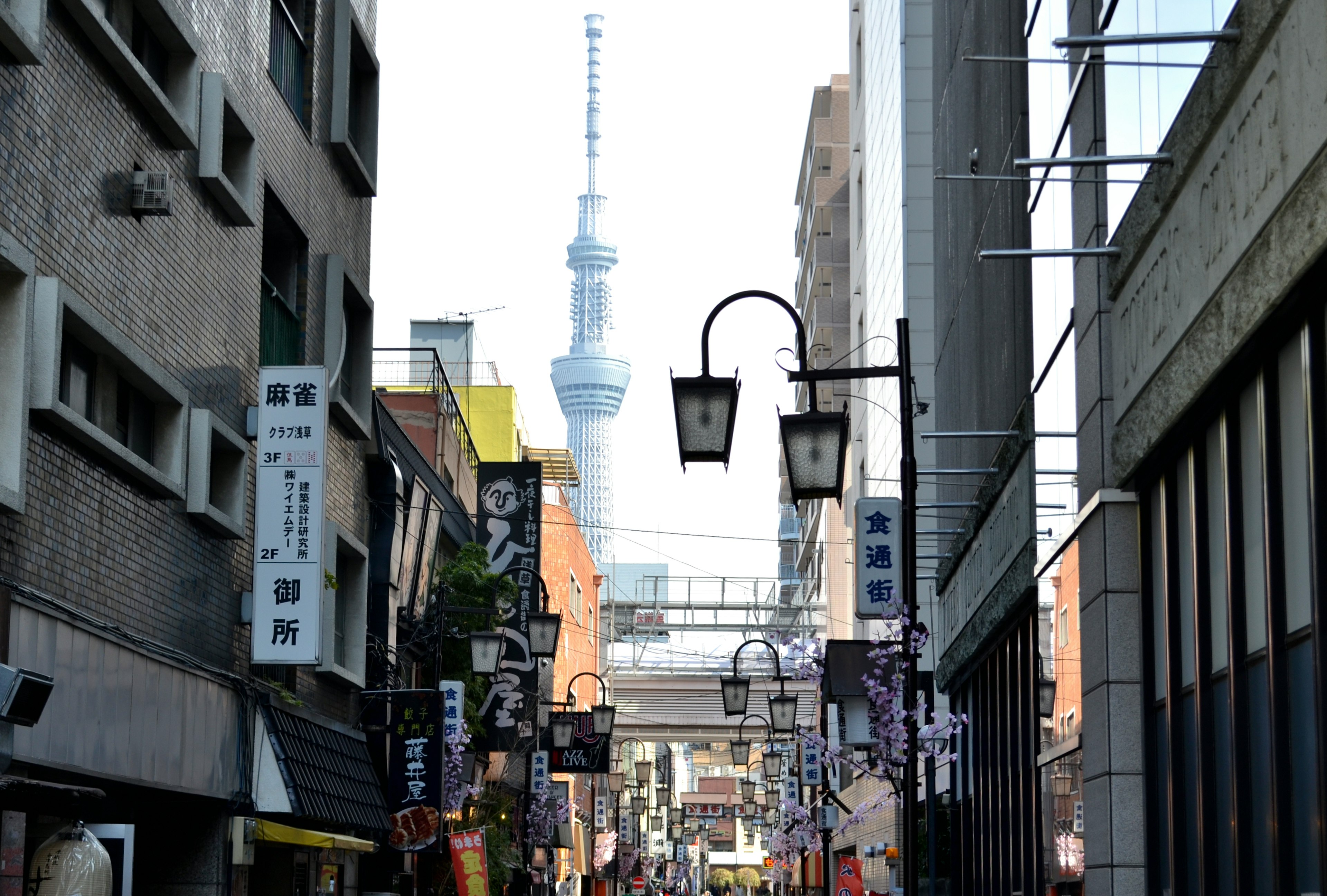 Vista de la calle con la Tokyo Skytree al fondo