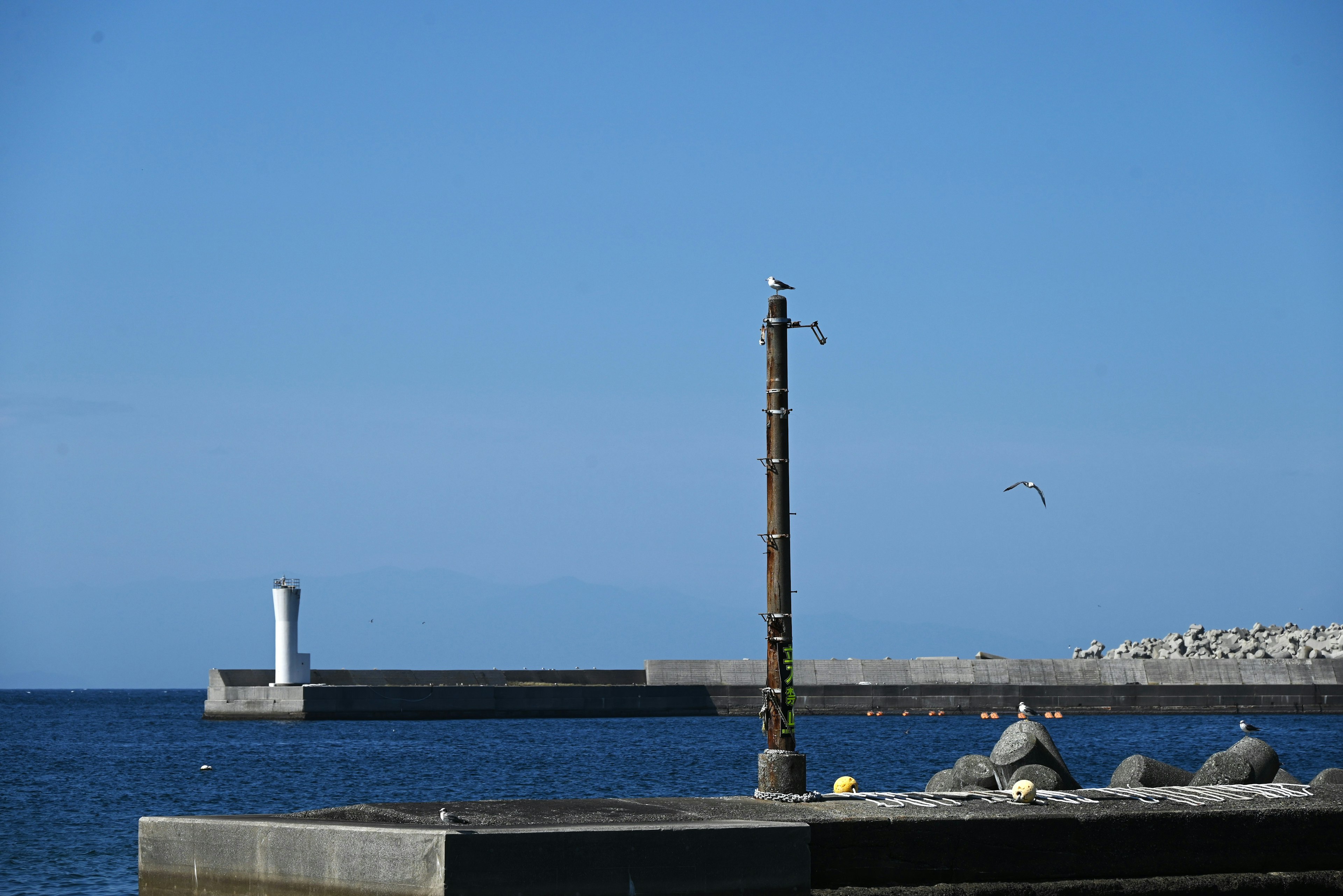 青い空の下に灯台と桟橋がある海の風景