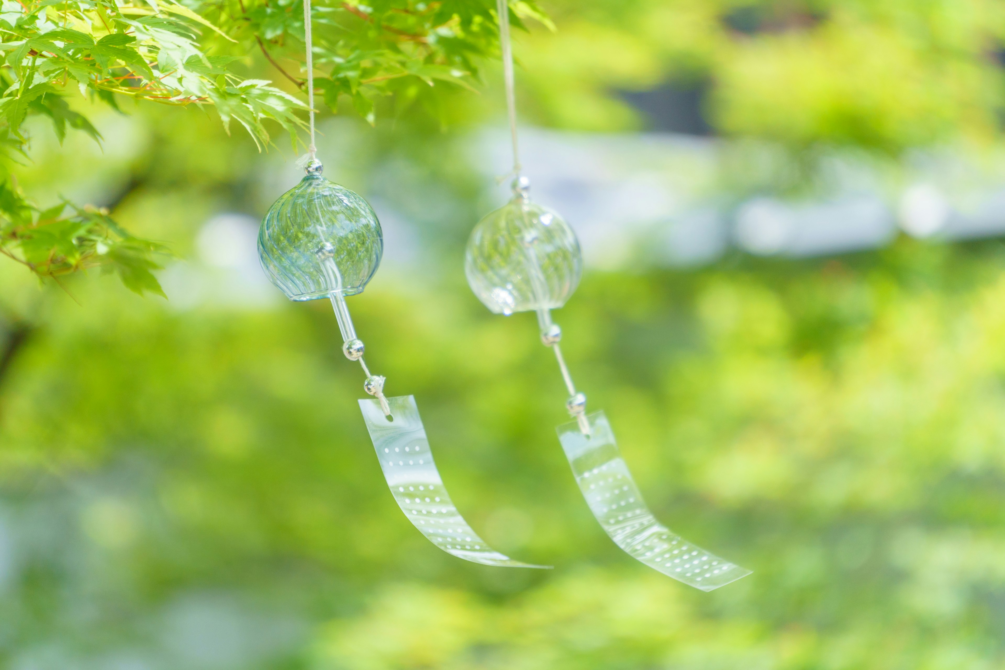 Photo de cloches à vent se balançant parmi des feuilles vertes