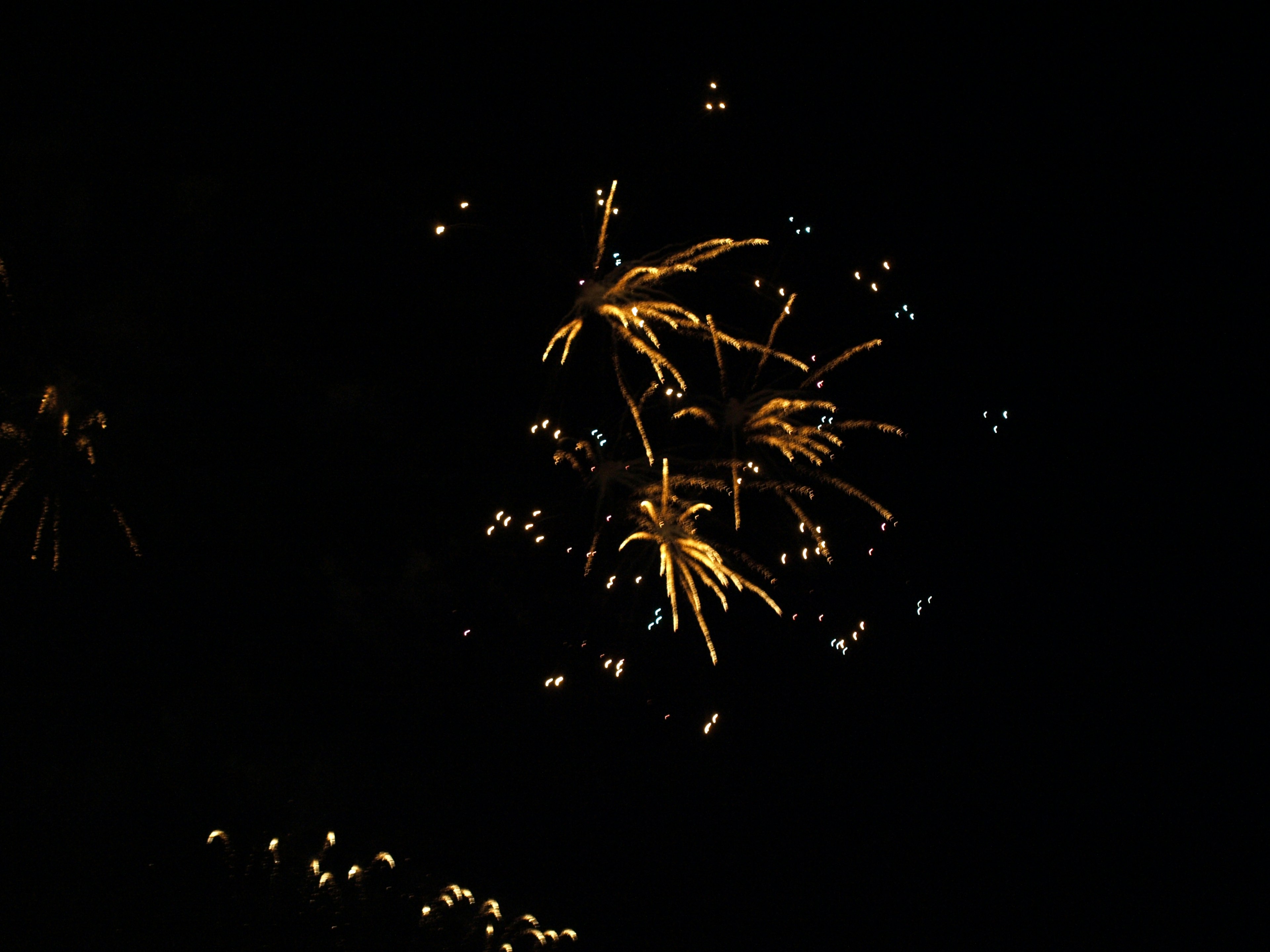 Golden fireworks bursting in the night sky