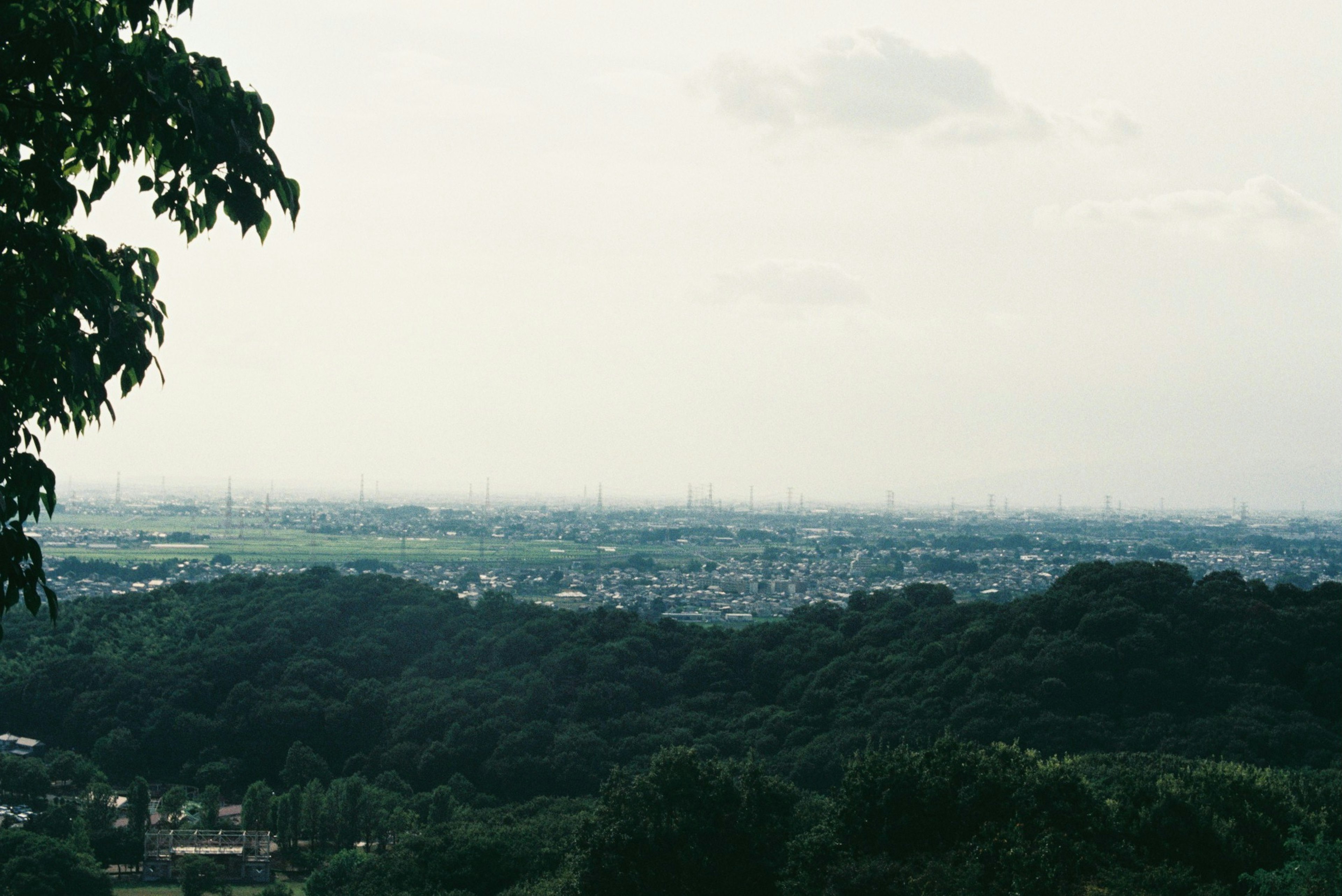 Panoramic view of a city from a green hilltop